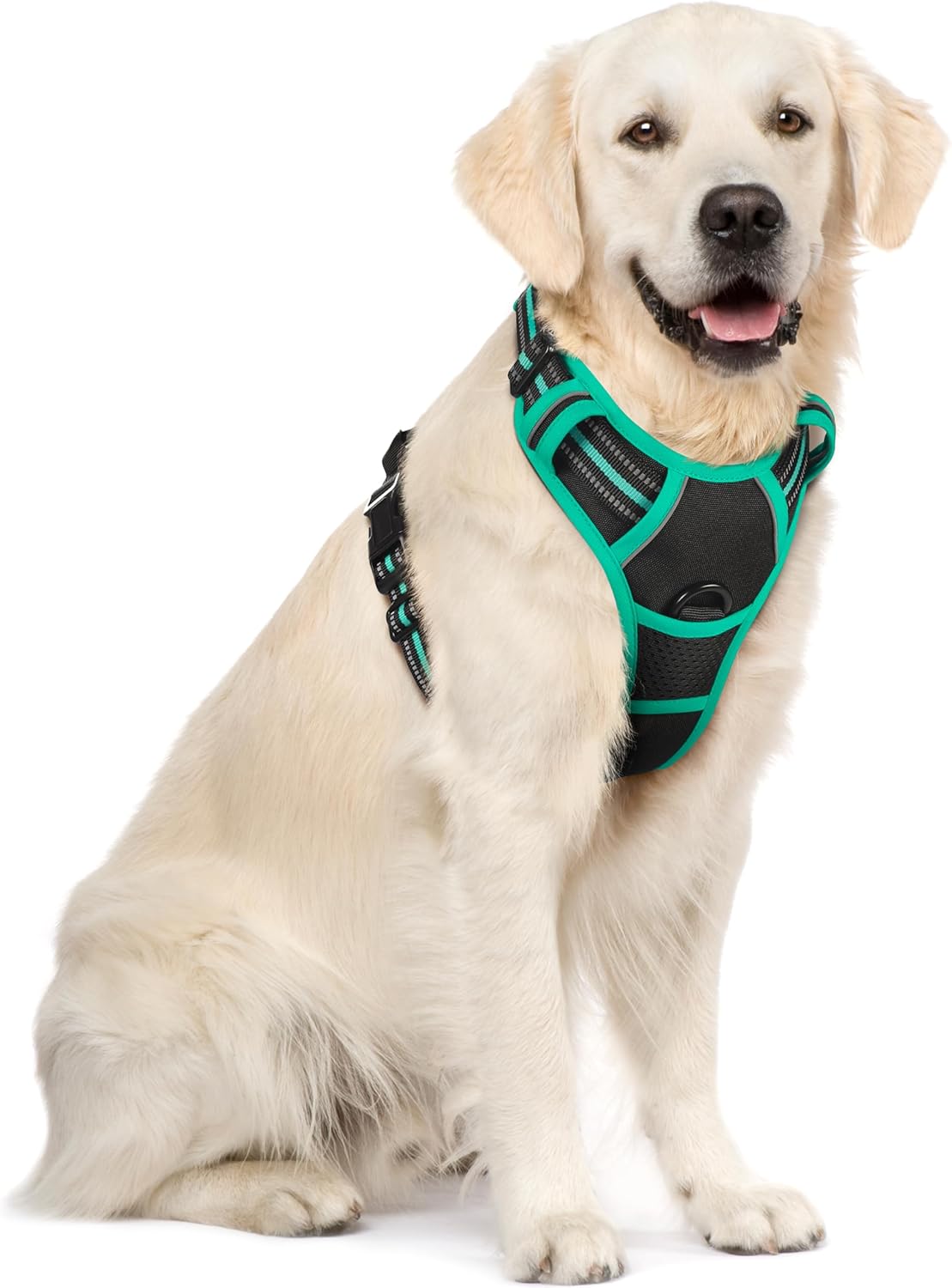rabbitgoo Dog Harness Dog No Pull Pet Harness | ObaPet