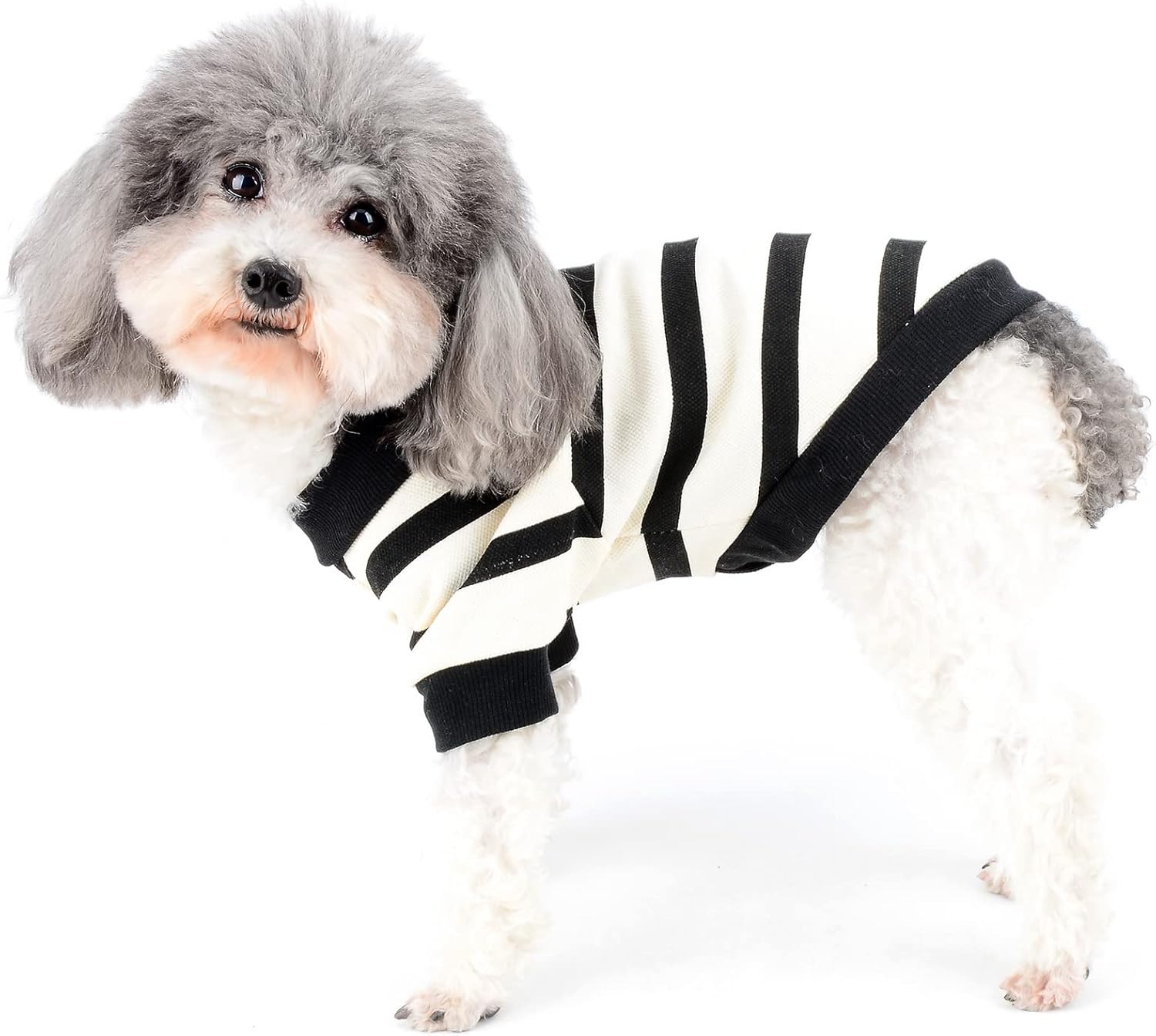Zunea Dog Shirts for Small Dogs Summer Basic T-Shirt Striped Puppy Clothes Sequins Love Heart Sweatshirt Soft Cotton Short Sleeve Tee Shirt Pet Girl Boy Clothing Pullover Chihuahua Apparel Gray S