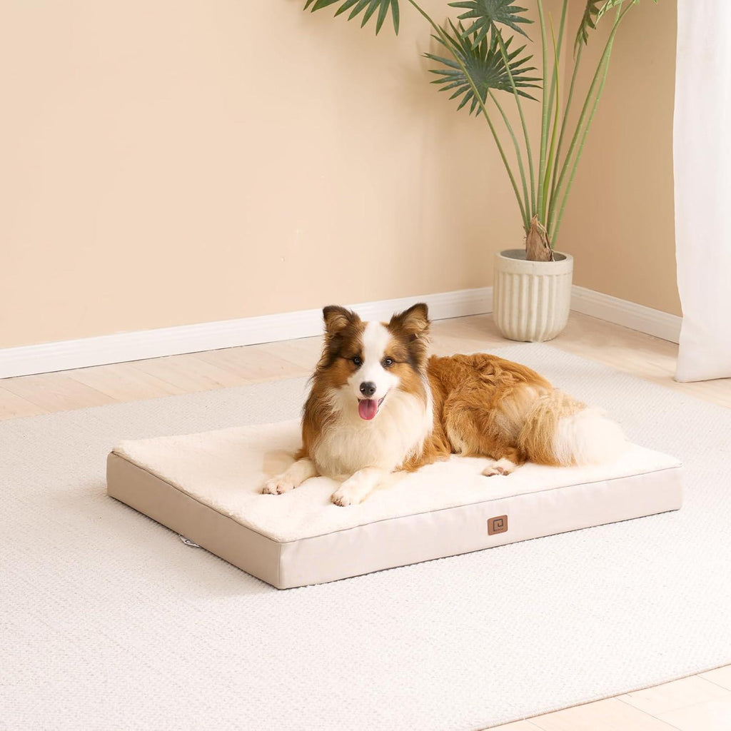 EHEYCIGA Orthopedic Dog Beds Small, Medium, | ObaPet
