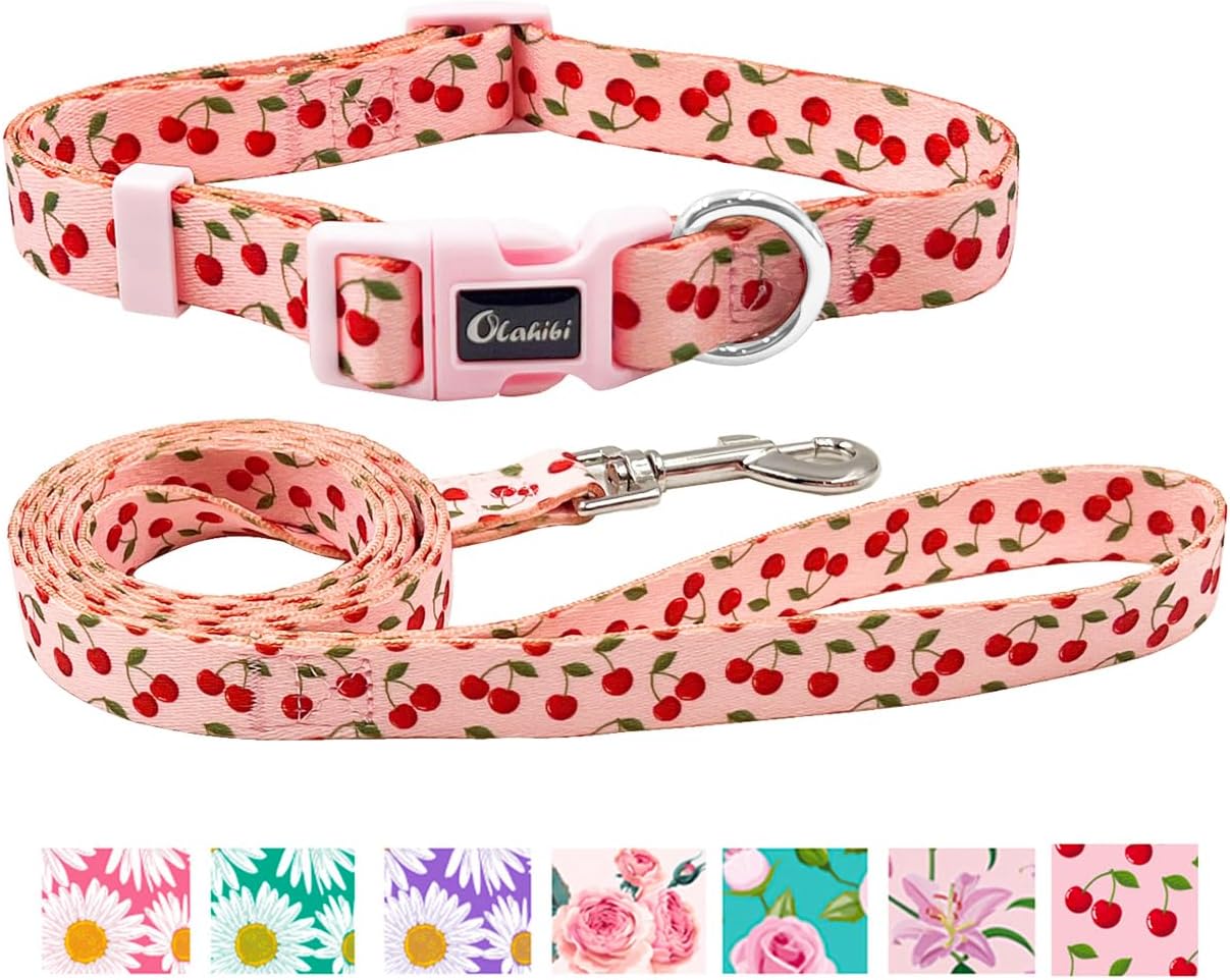 Olahibi Daisy Pattern Dog Collar and Leash | ObaPet