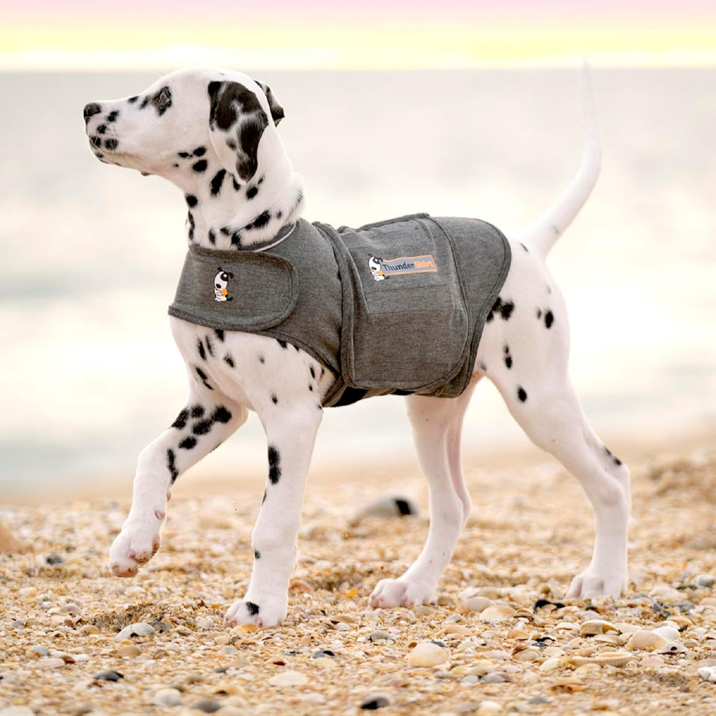 ThunderShirt for Dogs | ObaPet