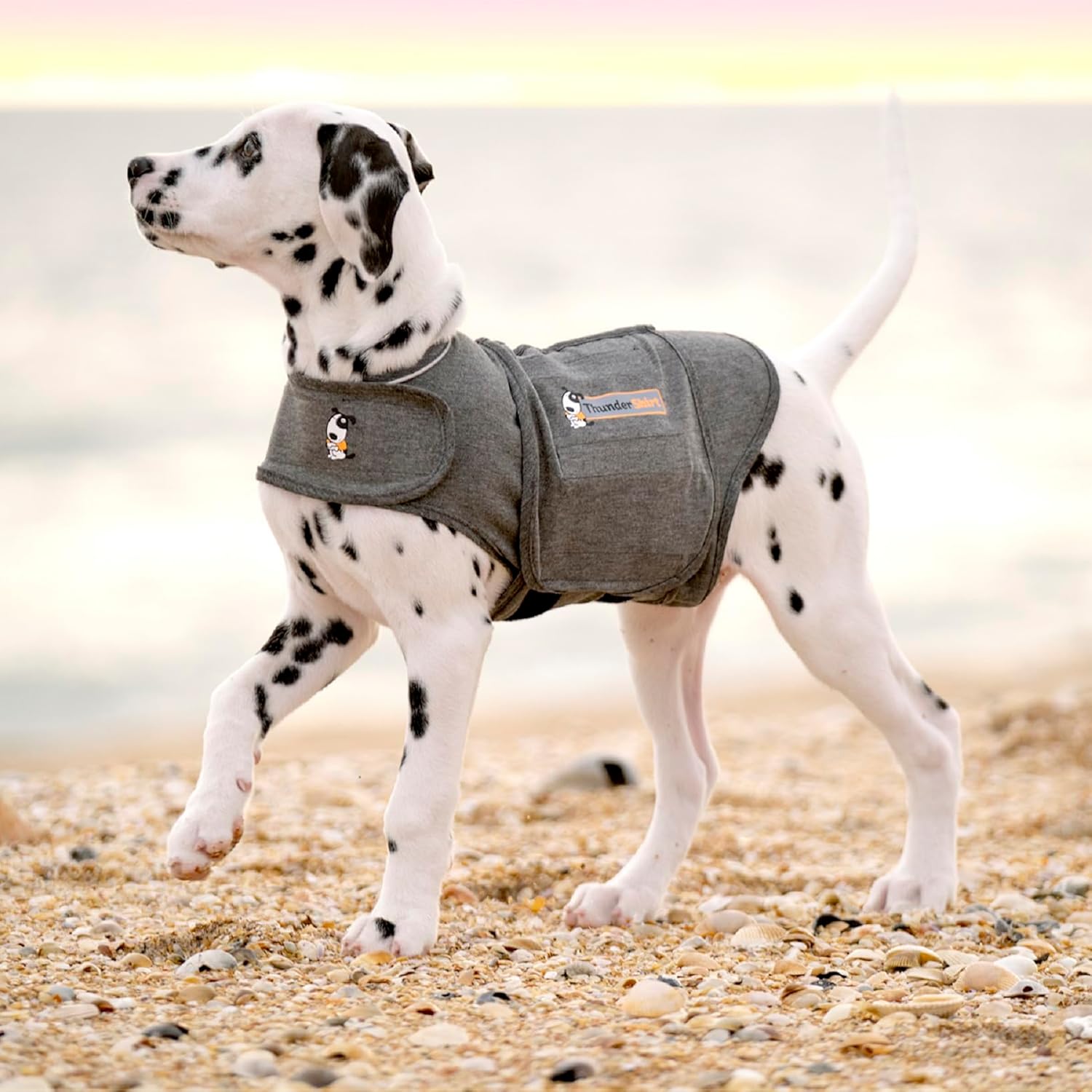 ThunderShirt for Dogs | ObaPet