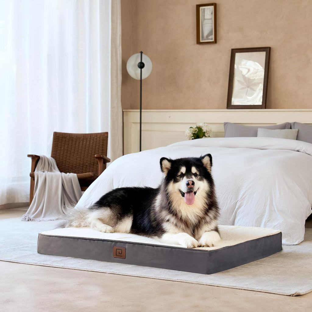 EHEYCIGA Orthopedic Dog Beds Small, Medium, | ObaPet