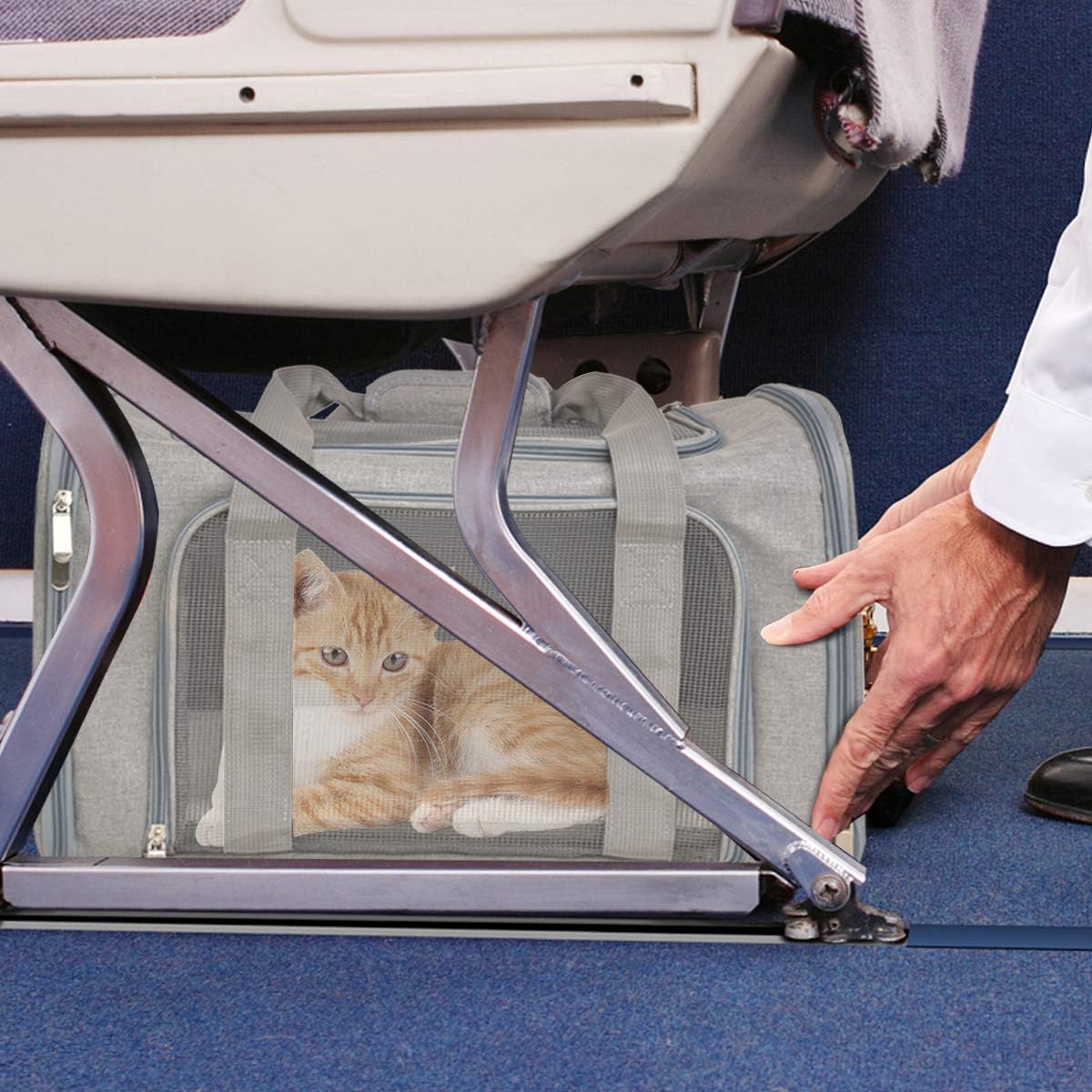 Qlfyuu Cat, Dog Carrier Portable, Soft Sided, | ObaPet