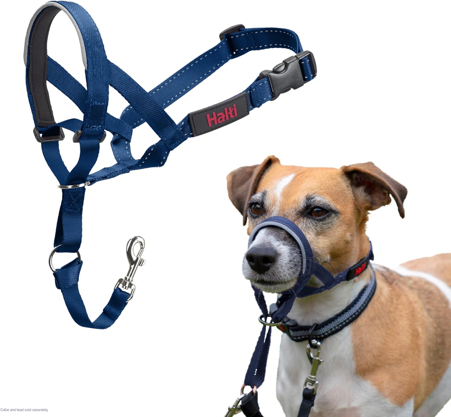 HALTI Headcollar, UK Bestselling Harness to Stop | ObaPet