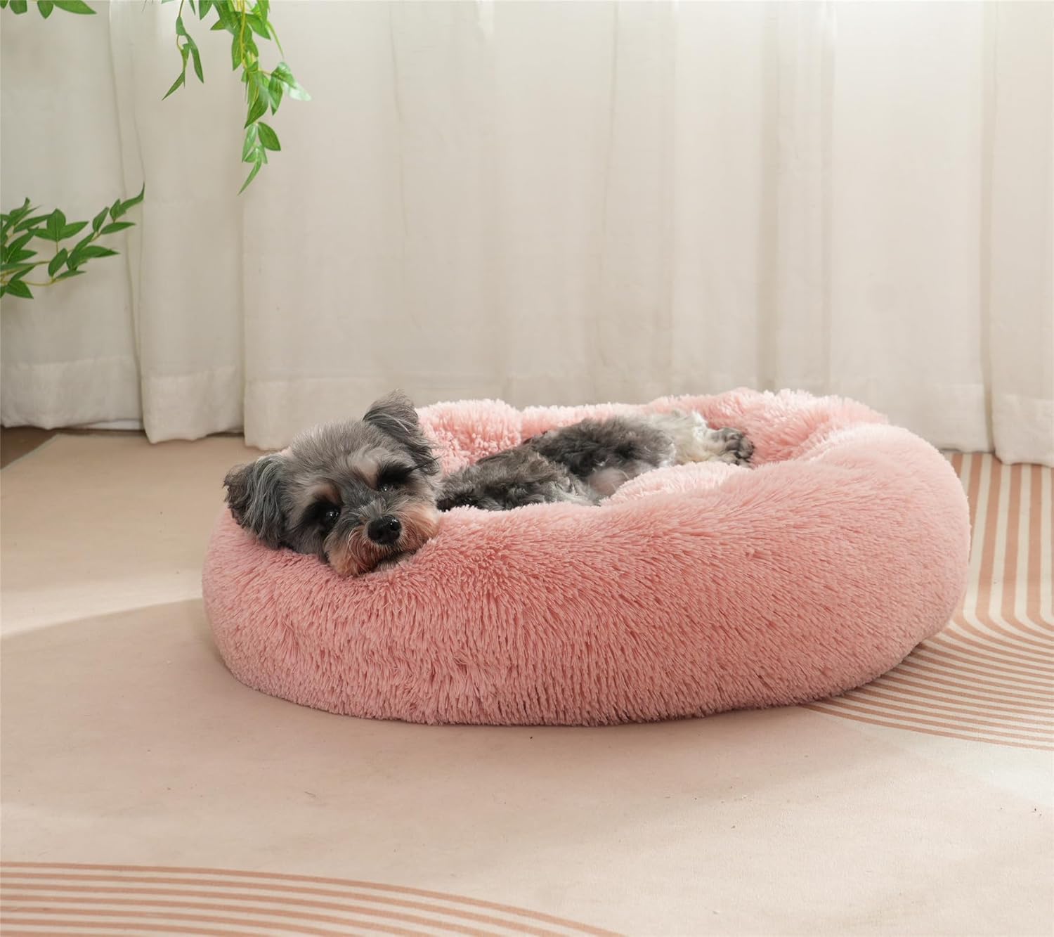 Enjamoy Plush Donut Dog Bed, Calming Round Dog | ObaPet