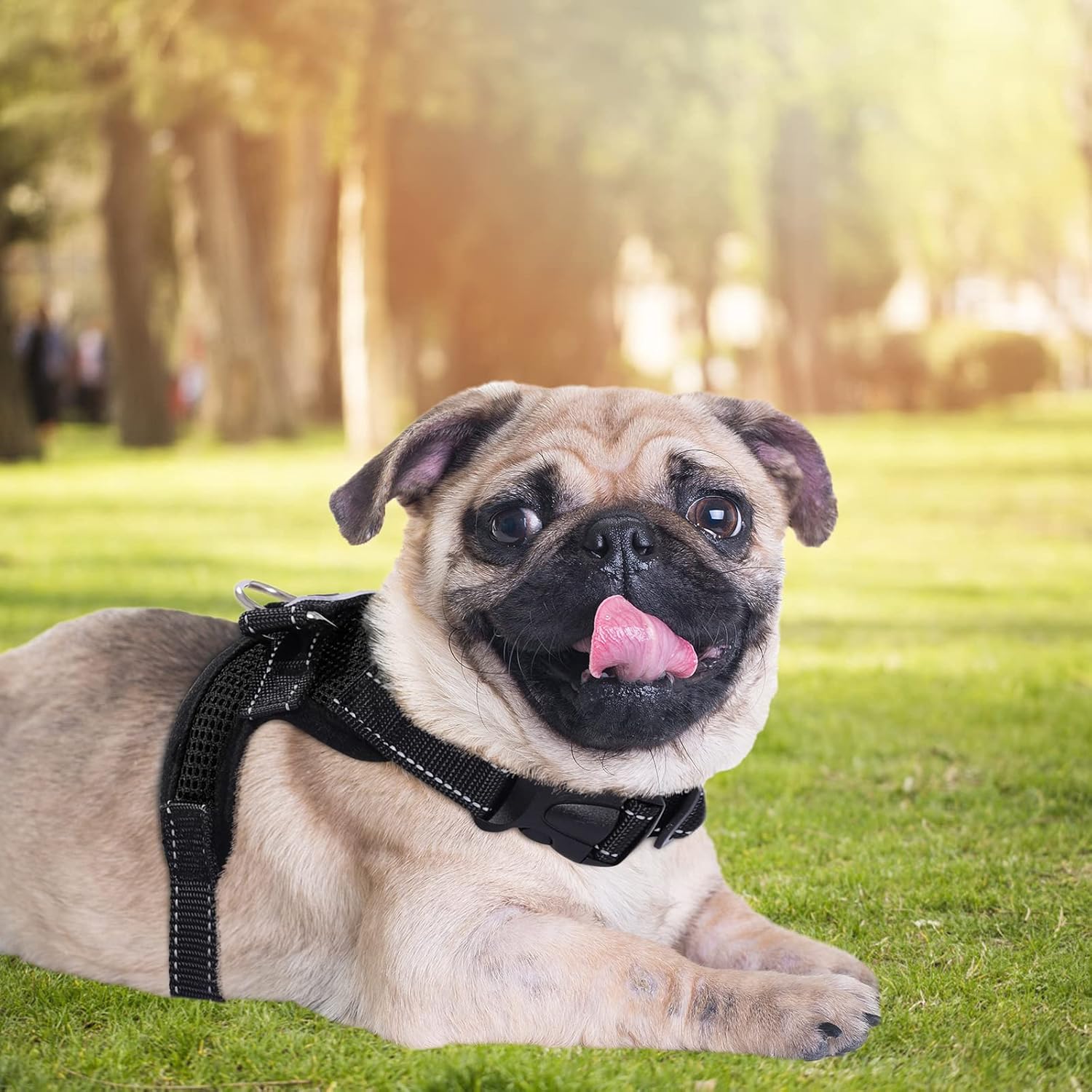 Dog Harness Mesh Breathable Comfortable Pet Vest | ObaPet