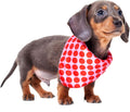 Red Nose Day 2025 Polka Dot Dog Bandana S/M - On Behalf of Comic relief