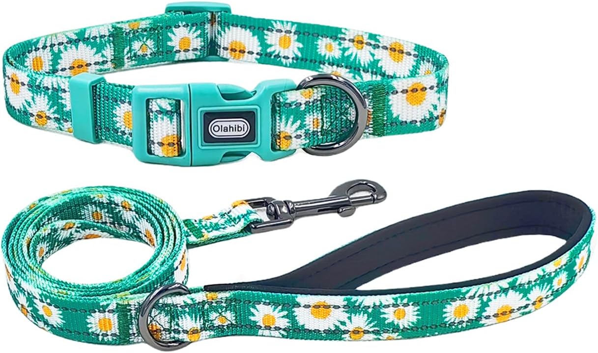 Olahibi Daisy Pattern Dog Collar and Leash | ObaPet
