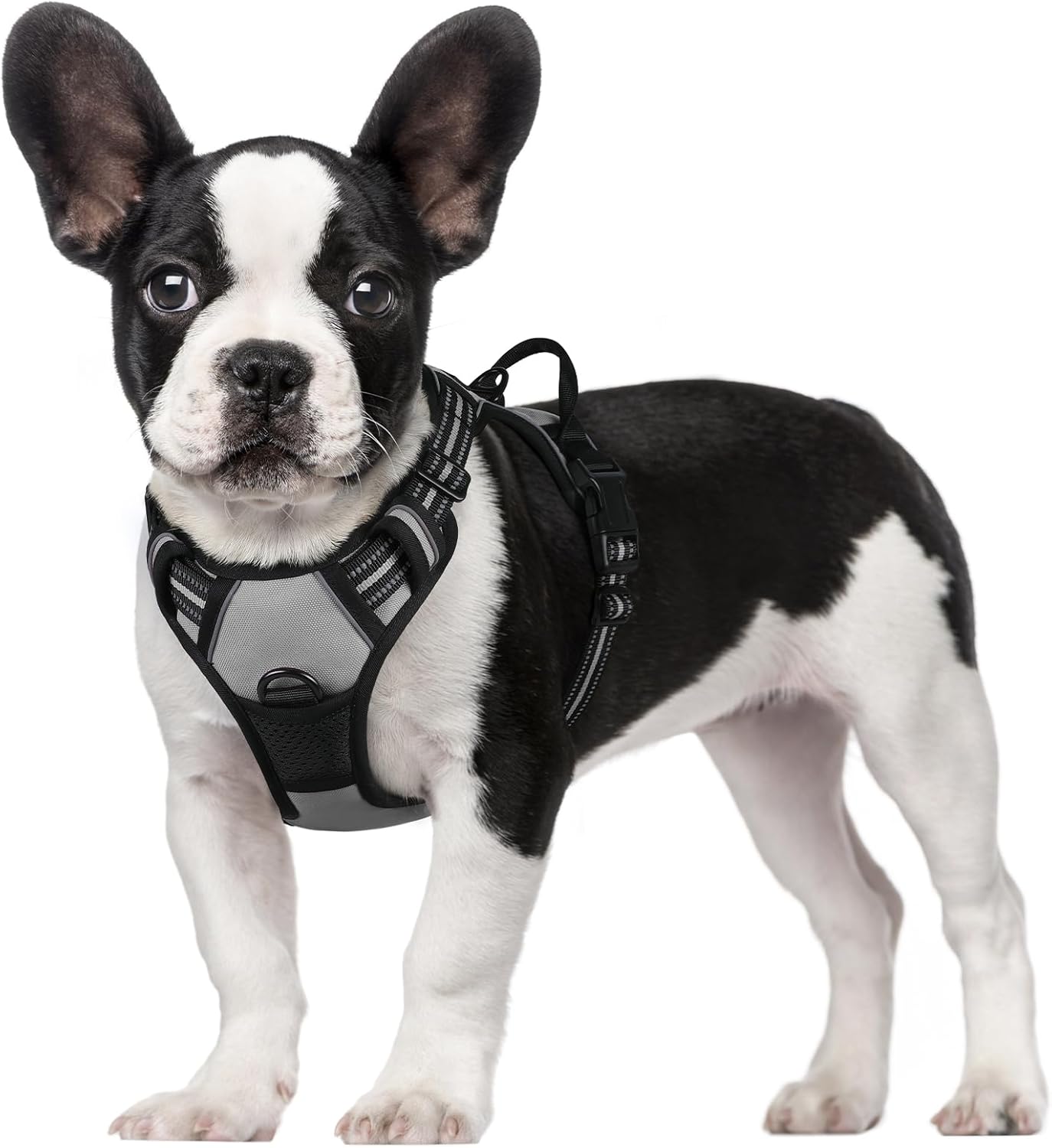rabbitgoo Dog Harness Dog No Pull Pet Harness | ObaPet