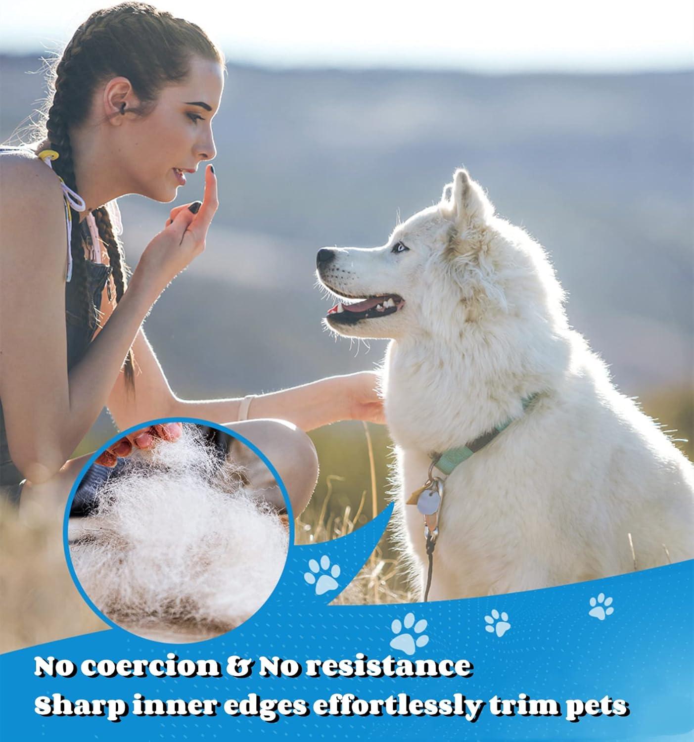 Morpilot Dog Brush Cat Brush Grooming Comb, | ObaPet