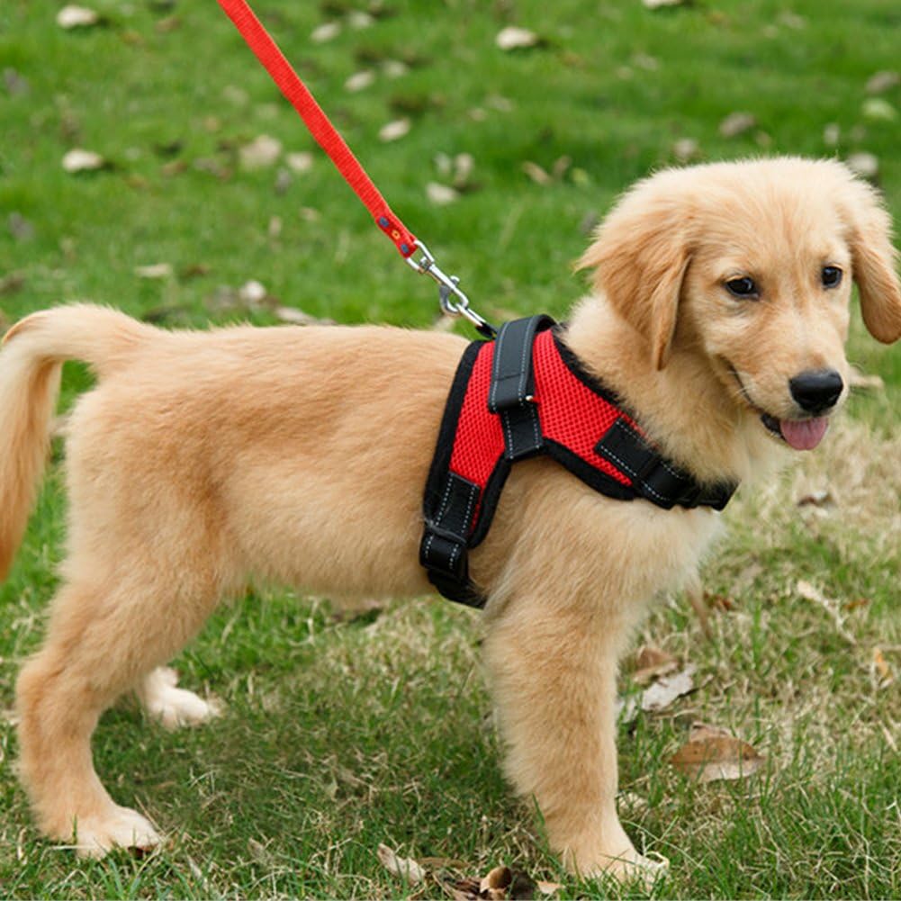 Dog Harness Mesh Breathable Comfortable Pet Vest | ObaPet
