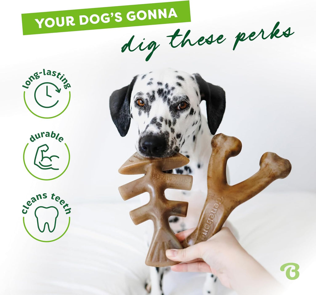 Benebone Durable Dog Chew Toy Box for Aggressive Chewers with Wishbone, Fishbone, Stick & Zaggler, Medium