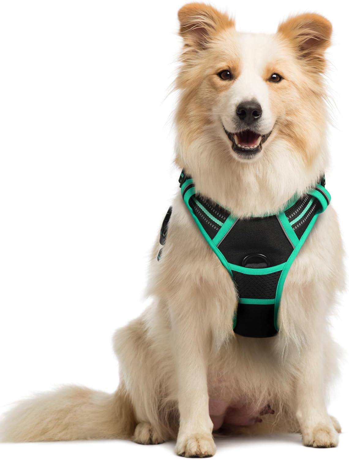 rabbitgoo Dog Harness Dog No Pull Pet Harness | ObaPet