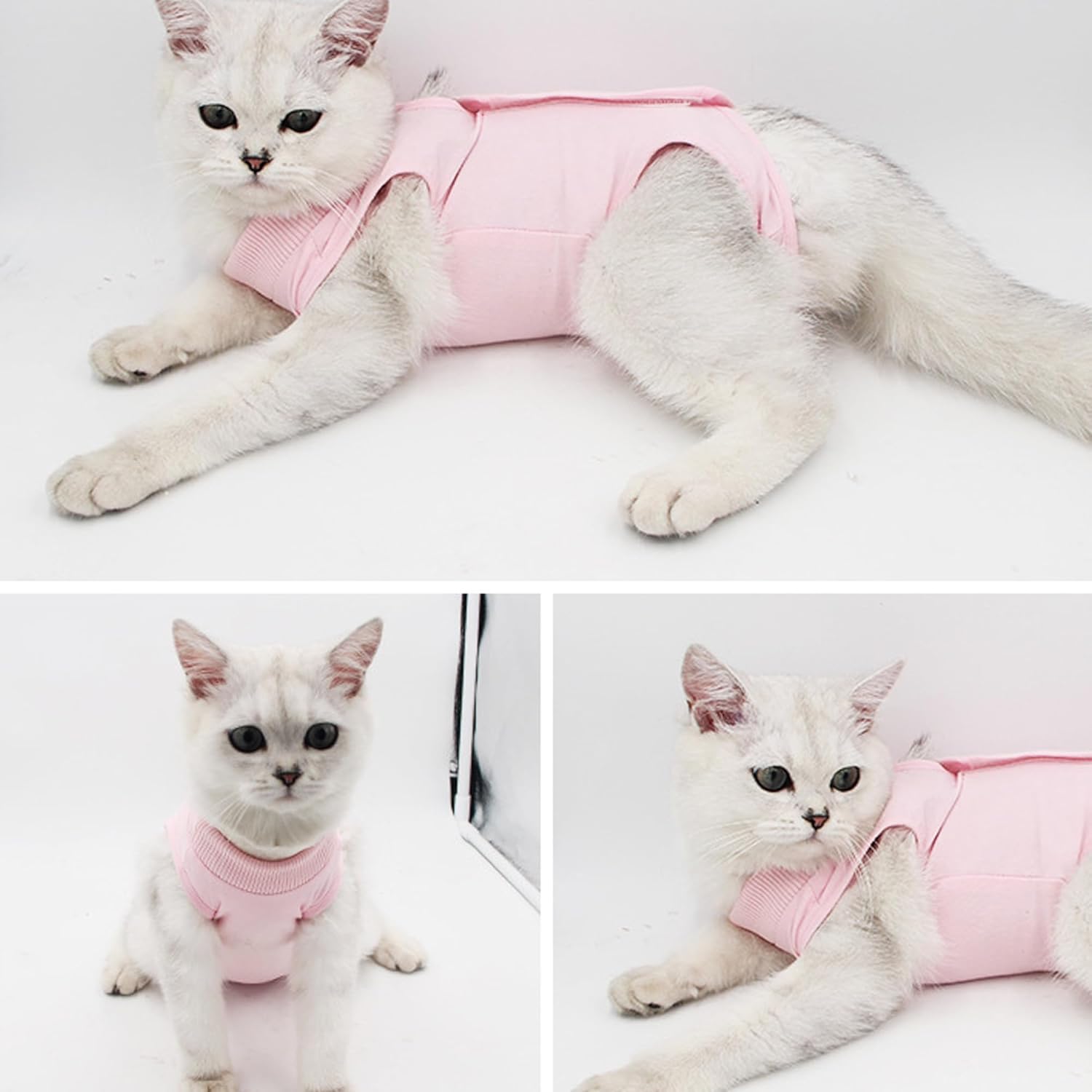 WDEC M 2-4kg Cat Professional Recovery Suit for | ObaPet