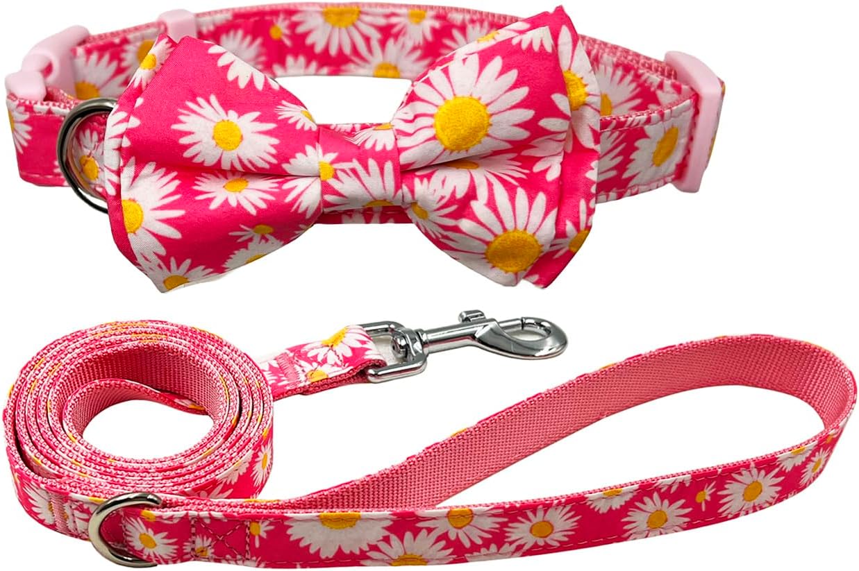 Olahibi Daisy Pattern Dog Collar and Leash | ObaPet