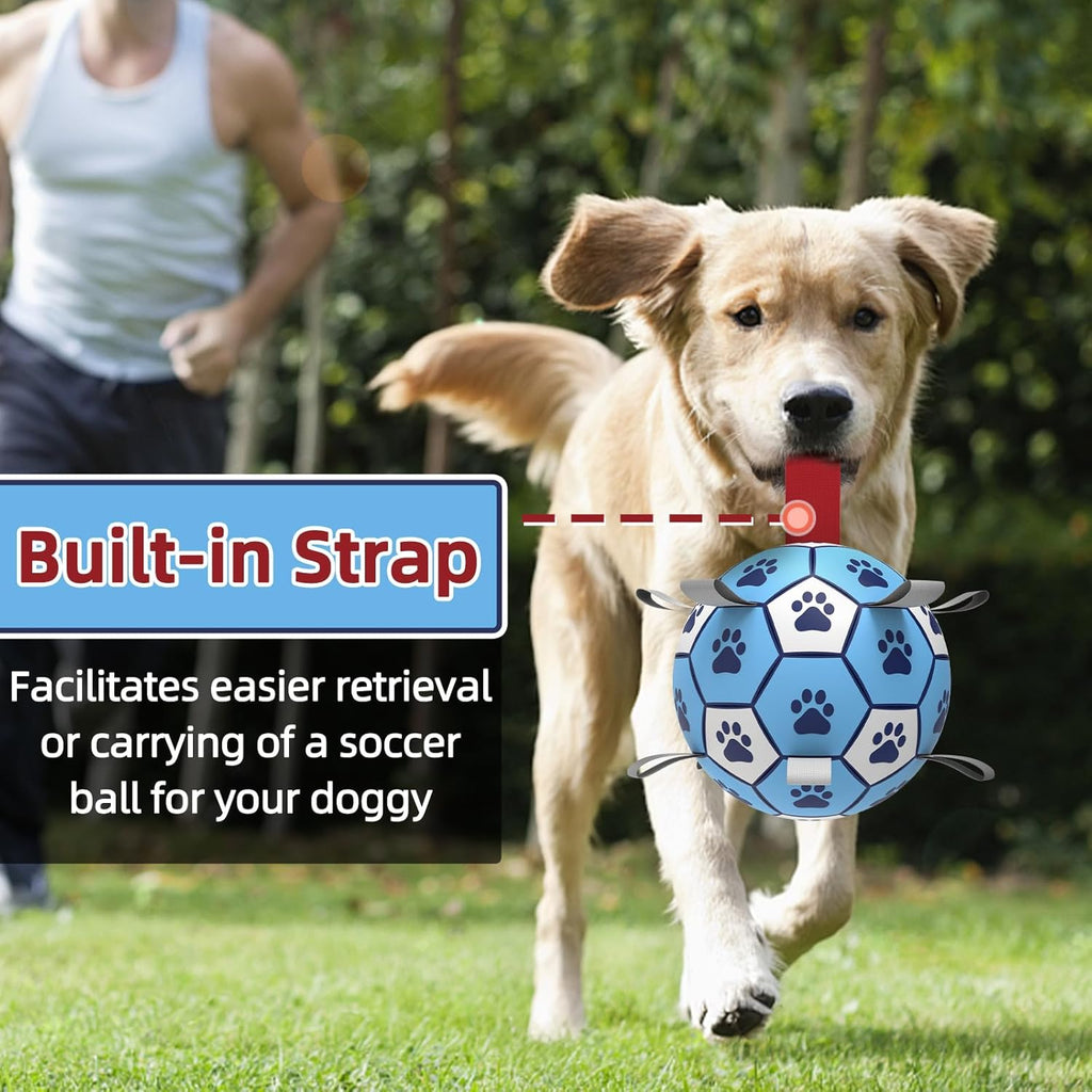 HETOO Interactive Dog Football Toys with Grab Tabs, Durable Dog Water Balls for Small Medium Breed, Indoor & Outdoor