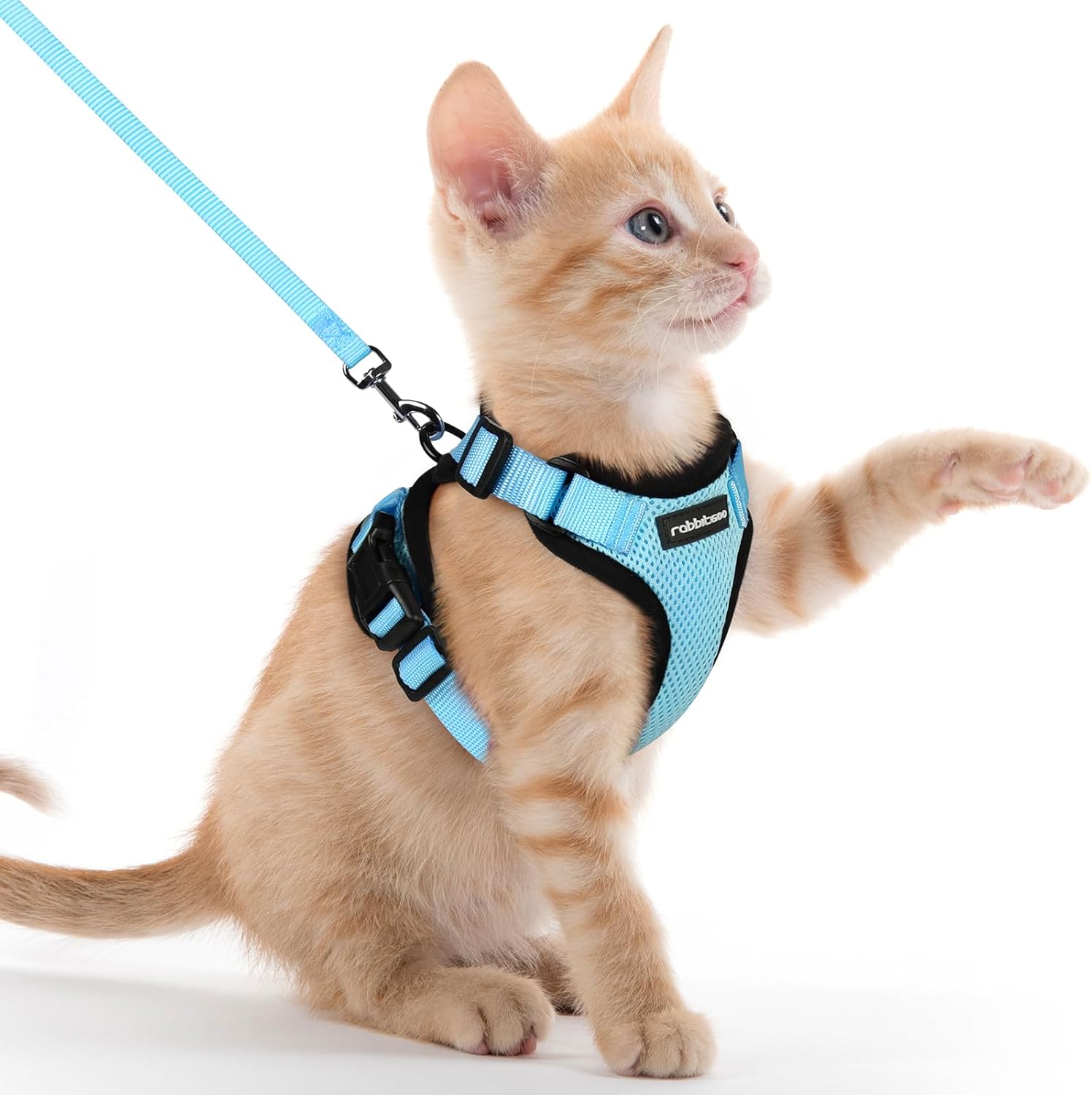 rabbitgoo Cat Harness and Lead Set, Escape Proof | ObaPet
