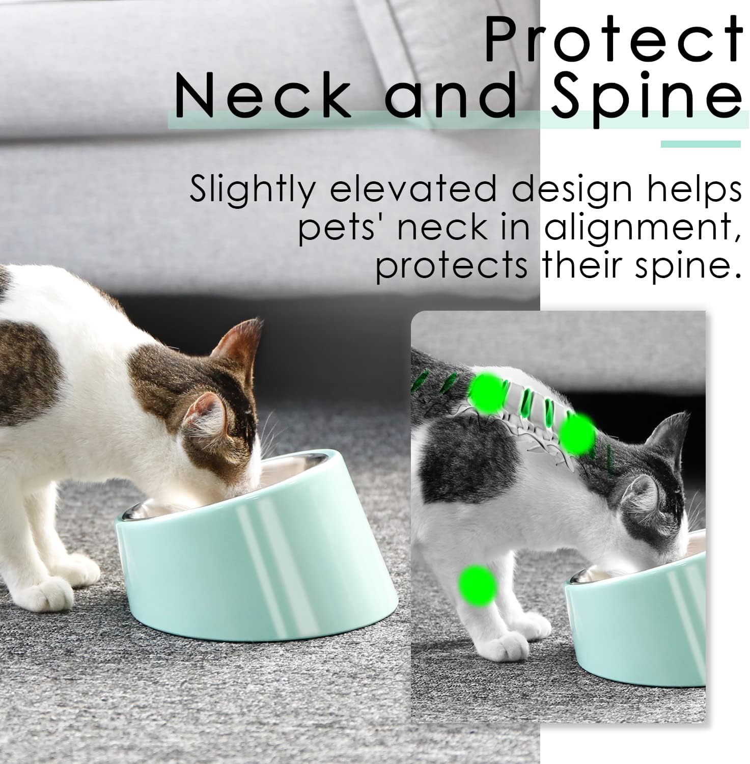 SuperDesign Mess Free 15° Slanted Bowl for Dogs | ObaPet