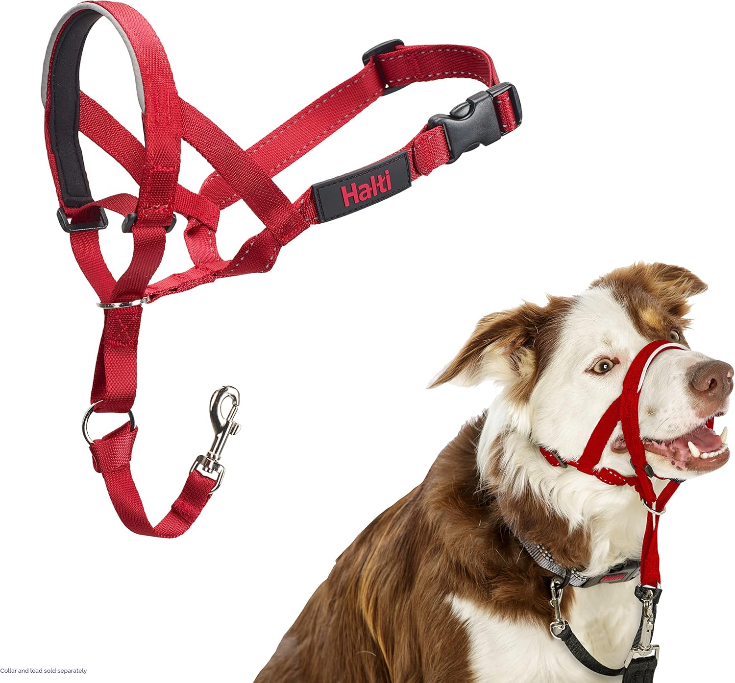 HALTI Headcollar, UK Bestselling Harness to Stop | ObaPet