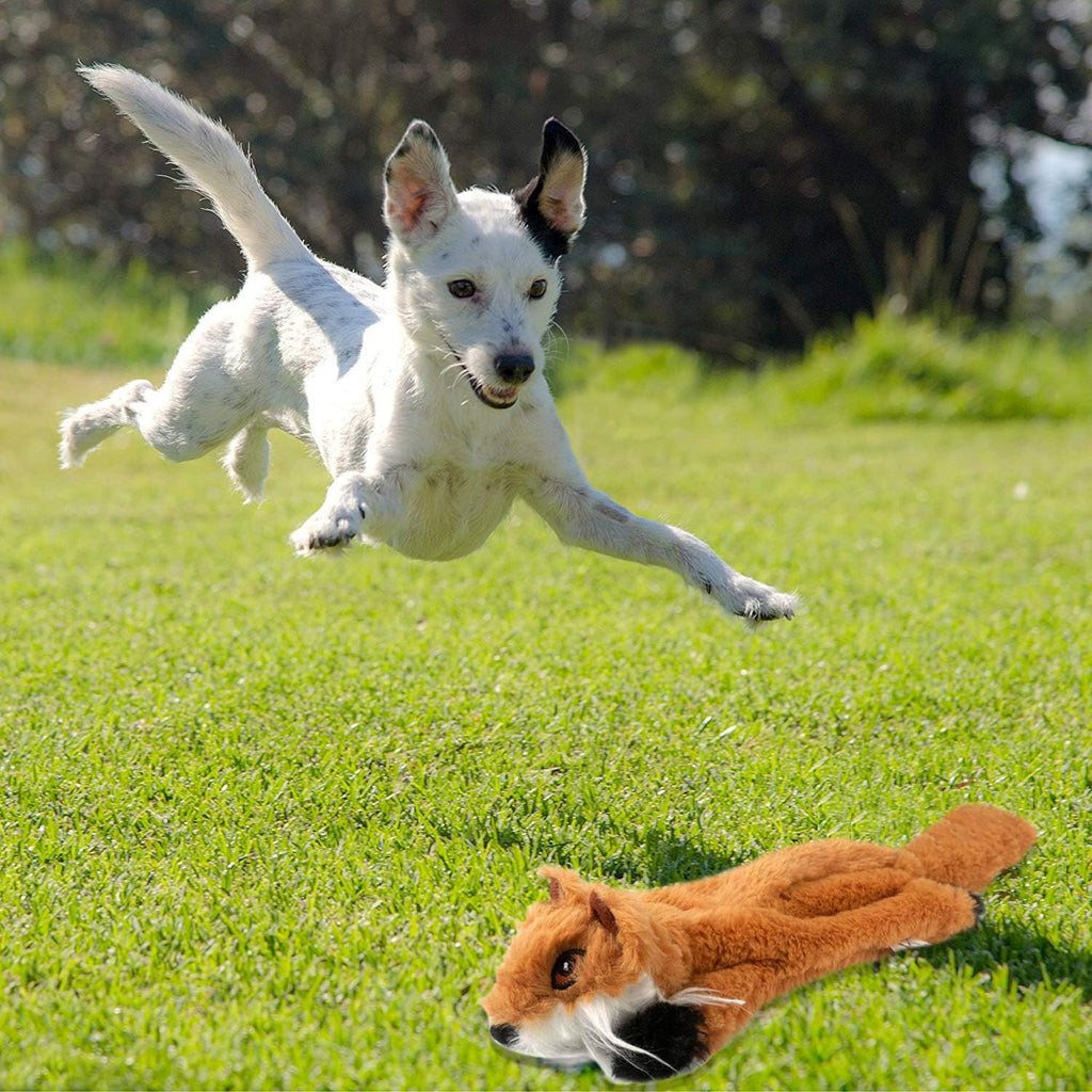 Newthinking No Stuffing Dog Toys, 5 Pack Squeaky Dog Toys, Soft Plush Dog Toys for Small Medium Large Dogs
