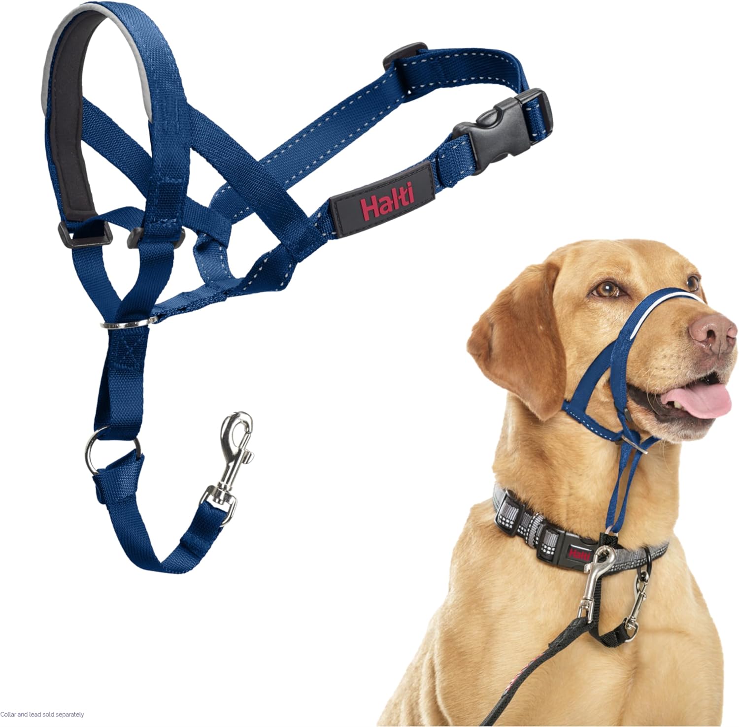 HALTI Headcollar, UK Bestselling Harness to Stop | ObaPet