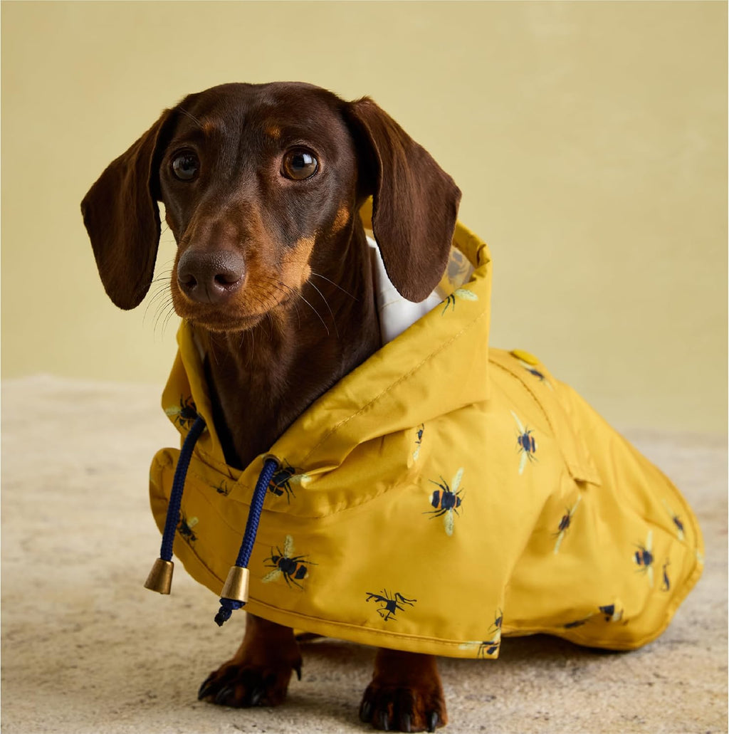 Rosewood Joules Go Lightly Packaway Jacket For Dogs, Small