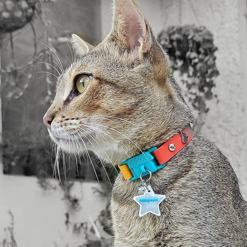 Kittyrama Cat Collar with Bell. As Seen in | ObaPet