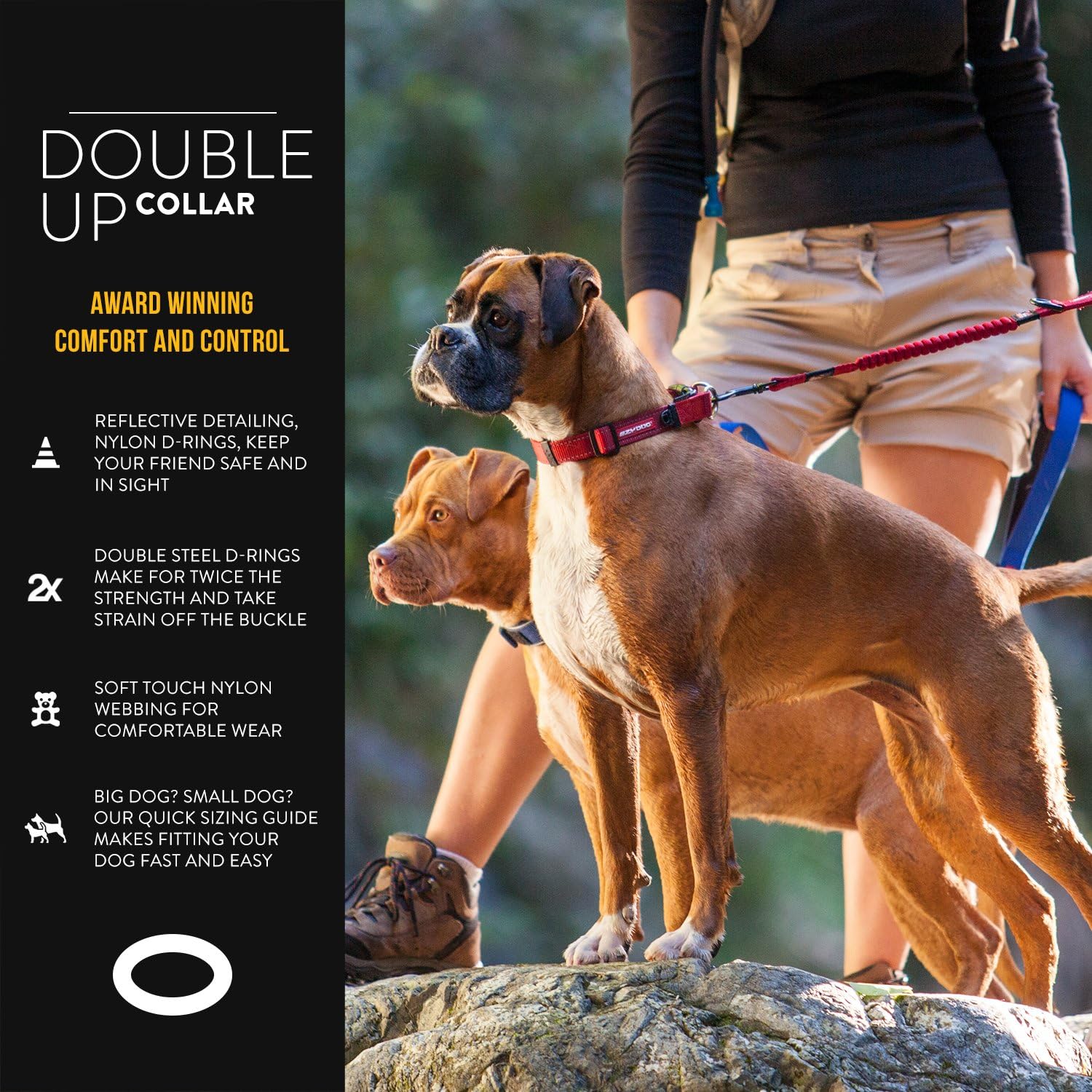 EZYDOG Double Up Dog Collar | ObaPet