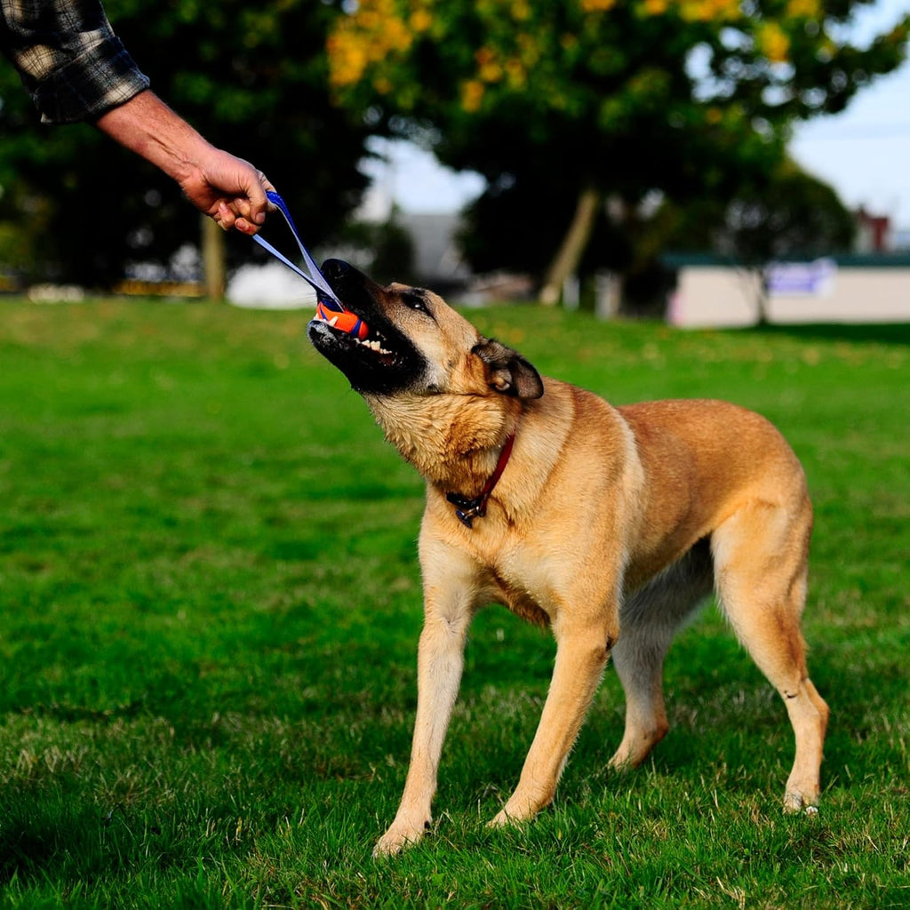 Chuckit! Ultra Tug Dog Toy With Rubber Ball Tug Of War Interactive Fetch Toy for Dogs, Medium
