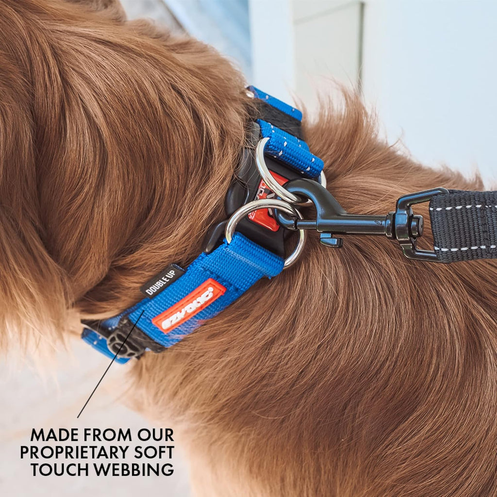 EZYDOG Double Up Dog Collar | ObaPet