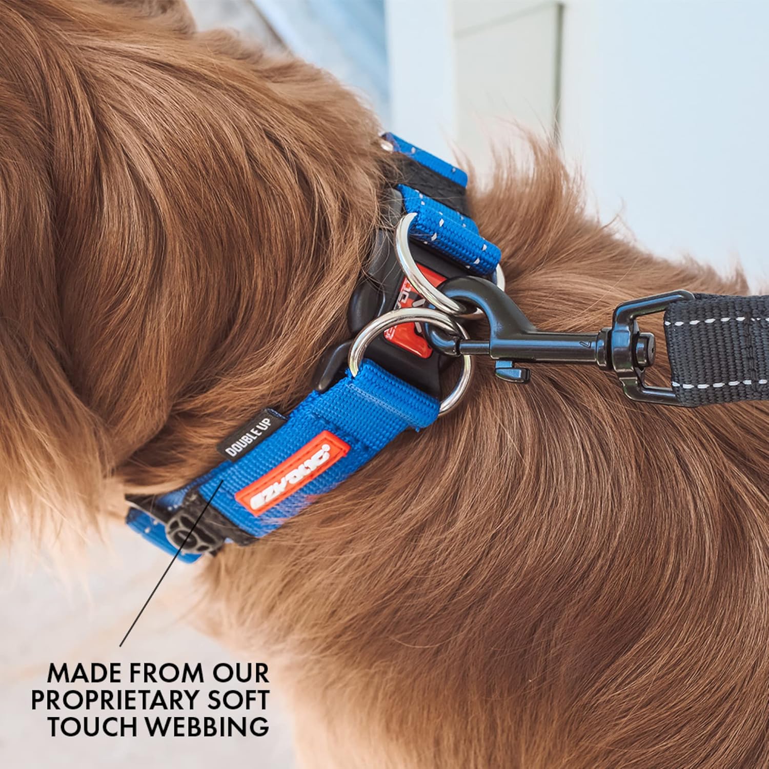 EZYDOG Double Up Dog Collar | ObaPet