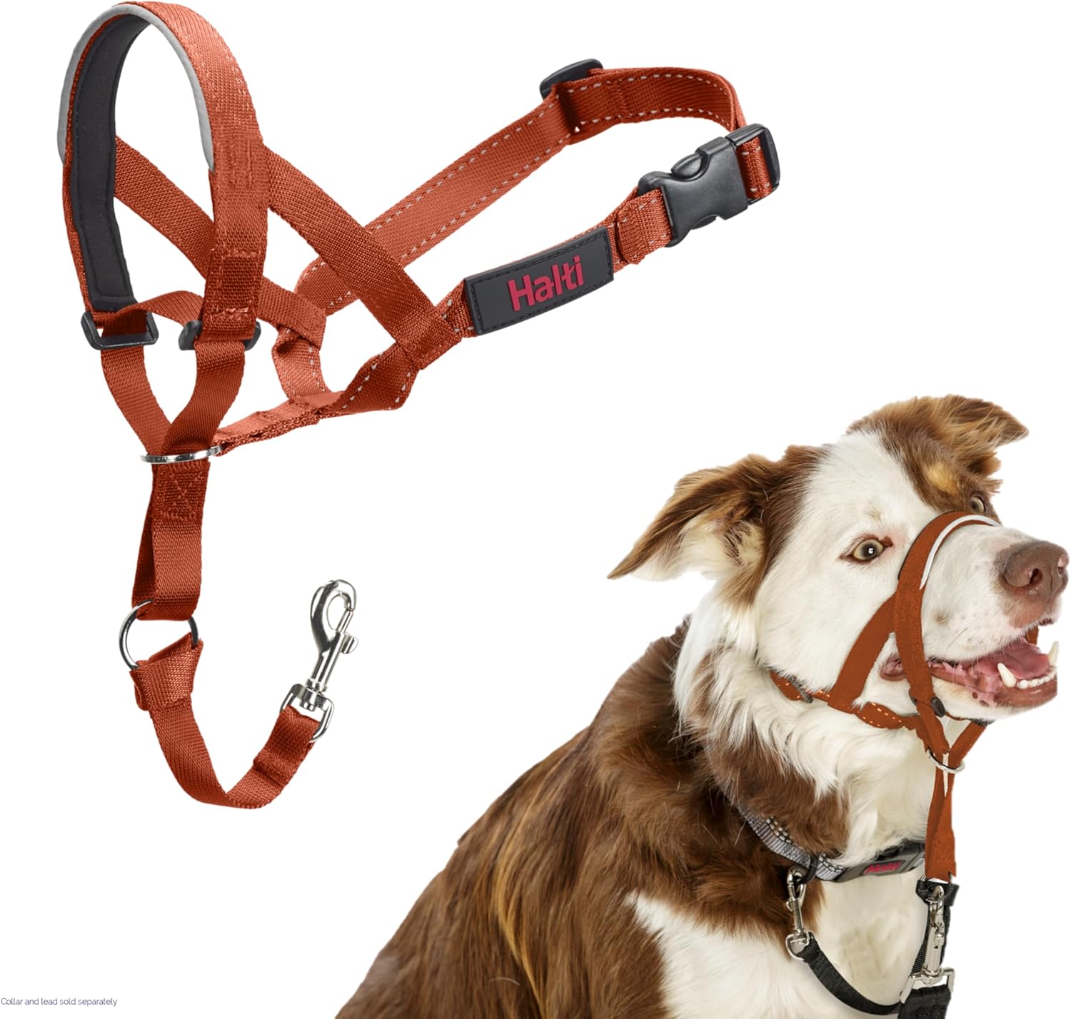 HALTI Headcollar, UK Bestselling Harness to Stop | ObaPet