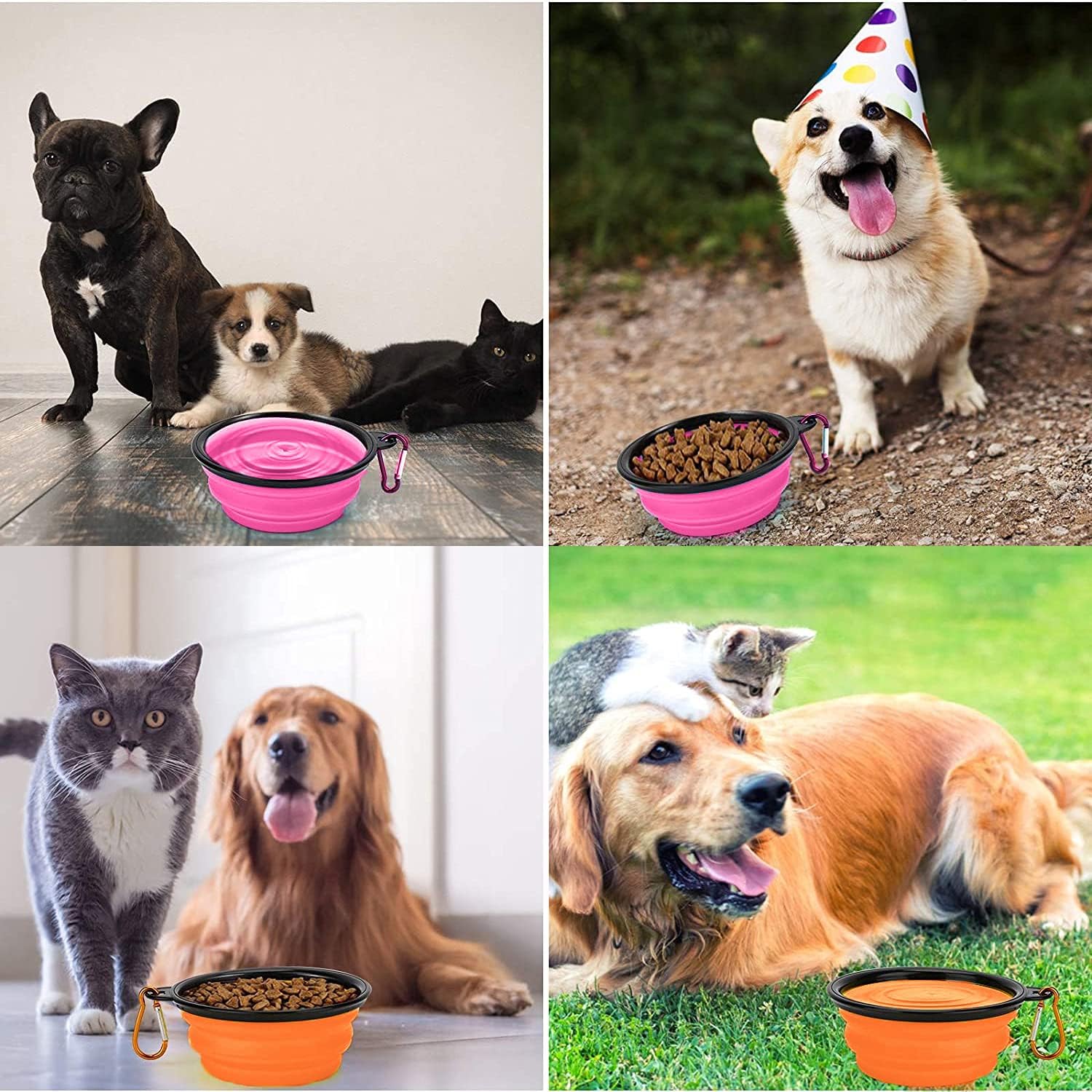 Collapsible Dog Bowl,Collapsible Dog Water Bowls | ObaPet
