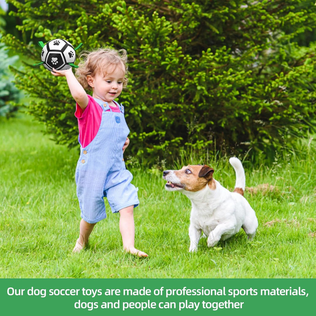 HETOO Interactive Dog Football Toys with Grab Tabs, Durable Dog Water Balls for Small Medium Breed, Indoor & Outdoor