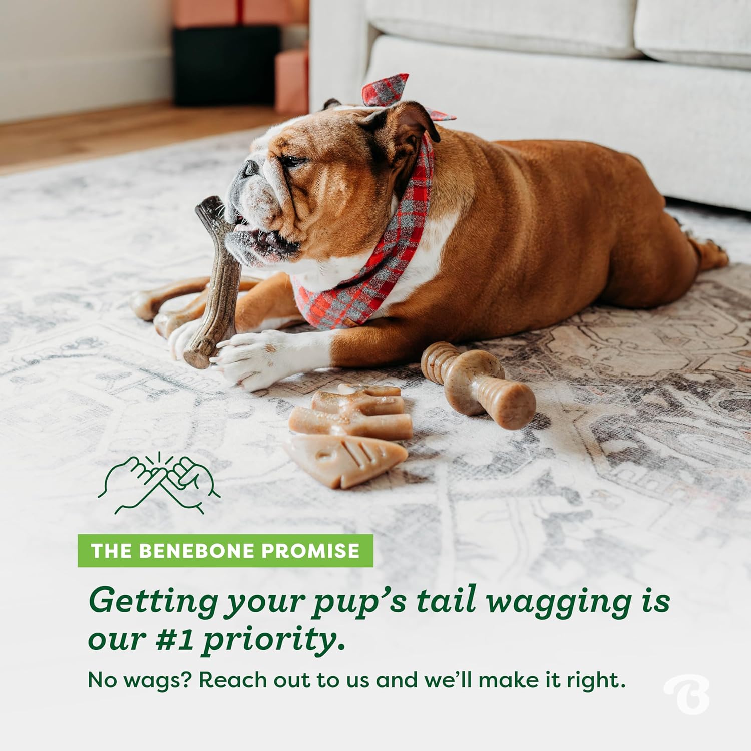 Benebone Durable Dog Chew Toy Box for Aggressive Chewers with Wishbone, Fishbone, Stick & Zaggler, Medium
