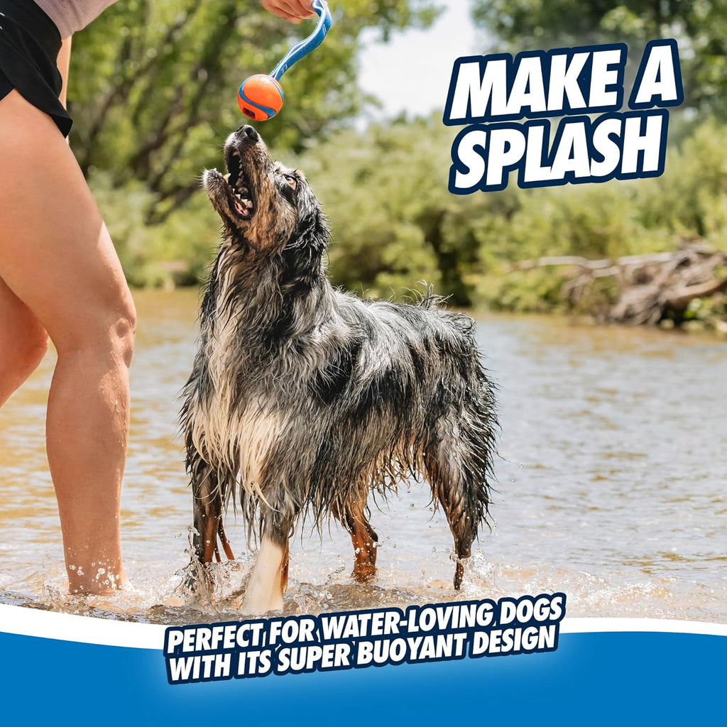 Chuckit! Ultra Tug Dog Toy With Rubber Ball Tug Of War Interactive Fetch Toy for Dogs, Medium