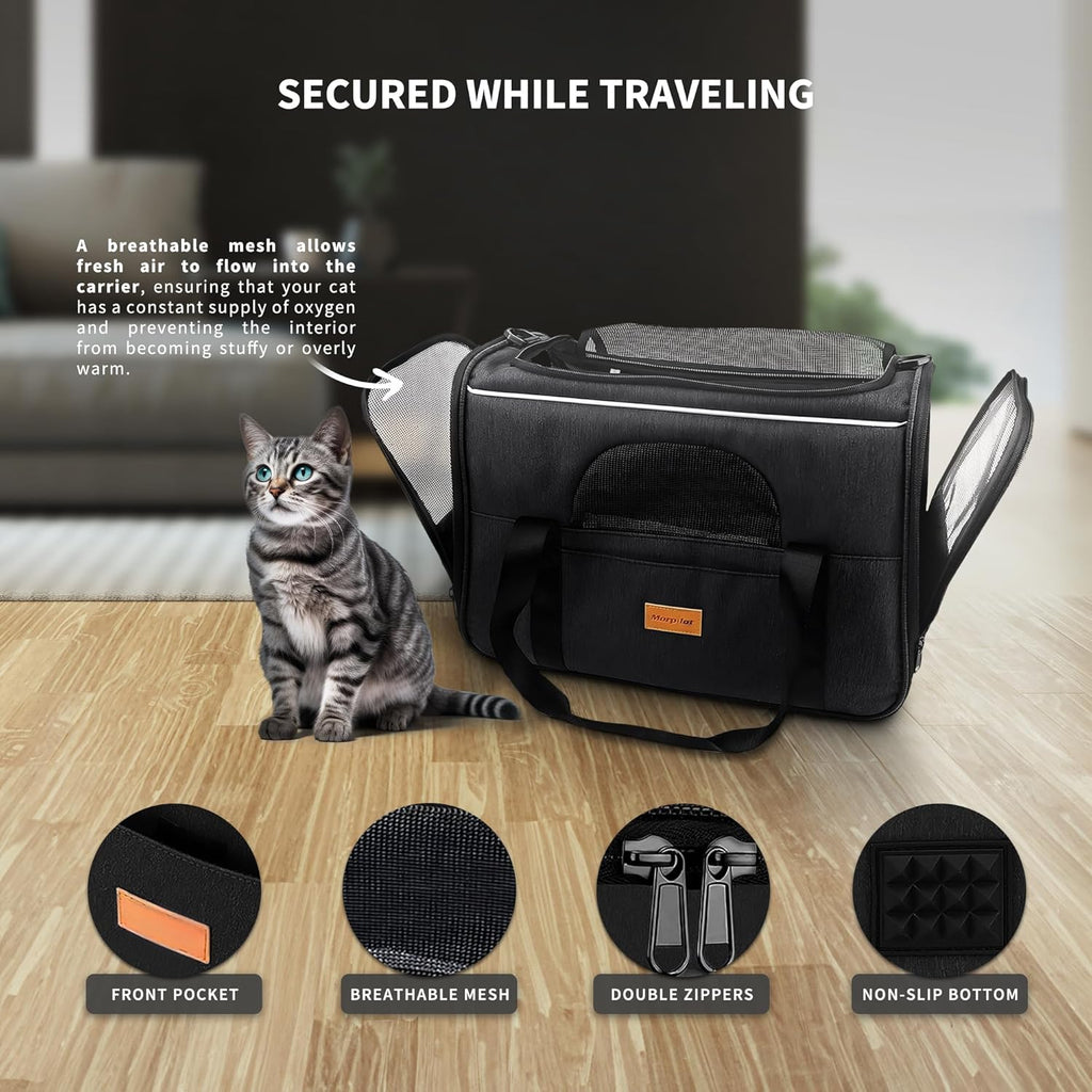 SOKANA Foldable Cat Carrier - Large Pet Carrier | ObaPet
