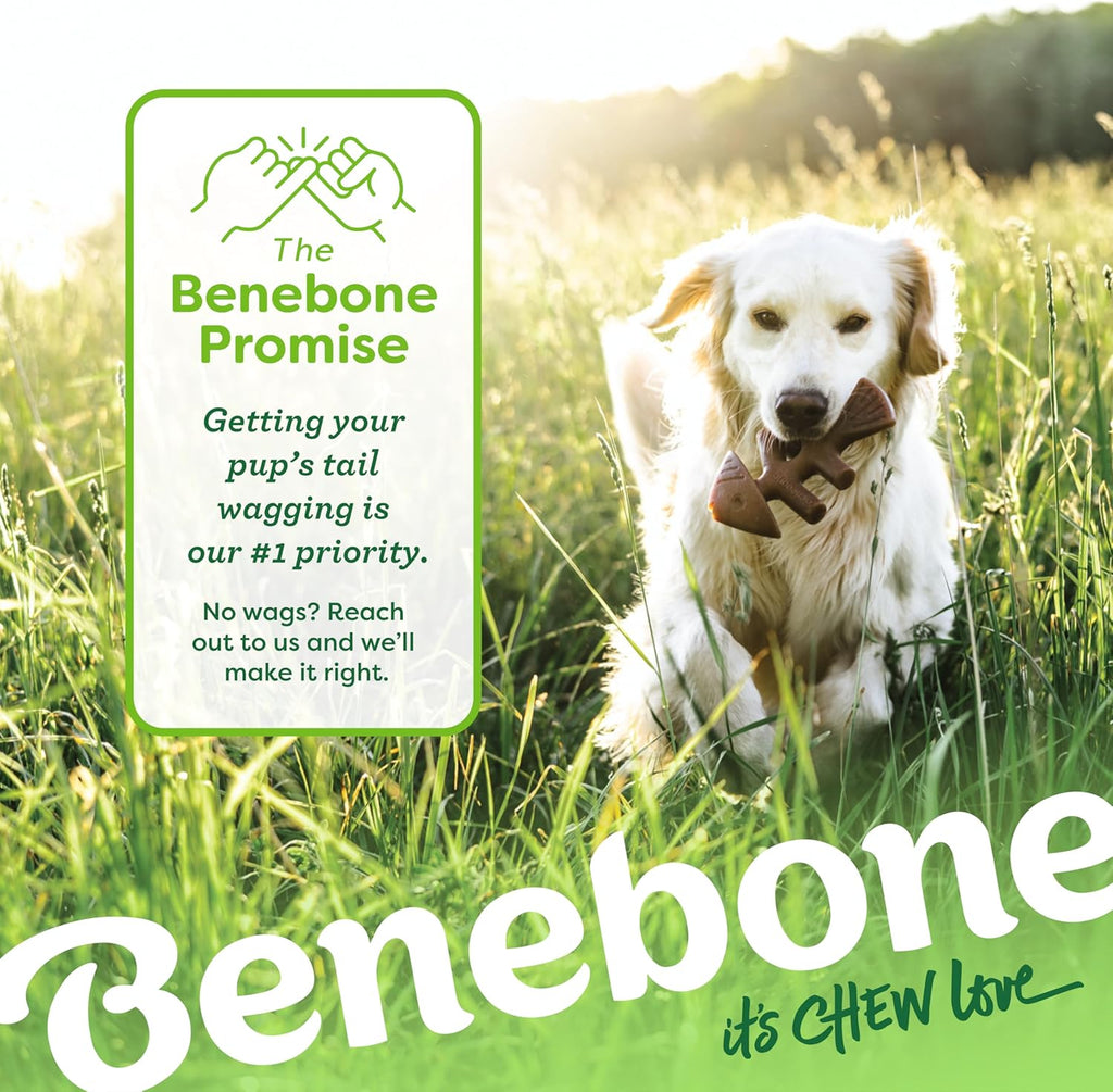 Benebone Durable Dog Chew Toy Box for Aggressive Chewers with Wishbone, Fishbone, Stick & Zaggler, Medium