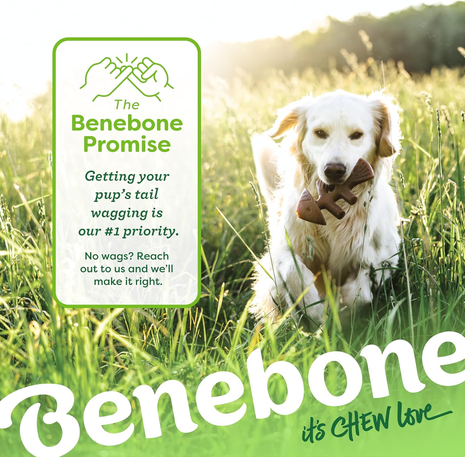 Benebone Durable Dog Chew Toy Box for Aggressive Chewers with Wishbone, Fishbone, Stick & Zaggler, Medium