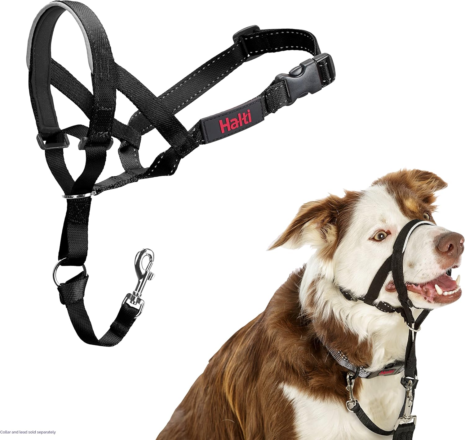 HALTI Headcollar, UK Bestselling Harness to Stop | ObaPet