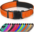 Joytale Reflective Dog Collar, Soft Neoprene | ObaPet