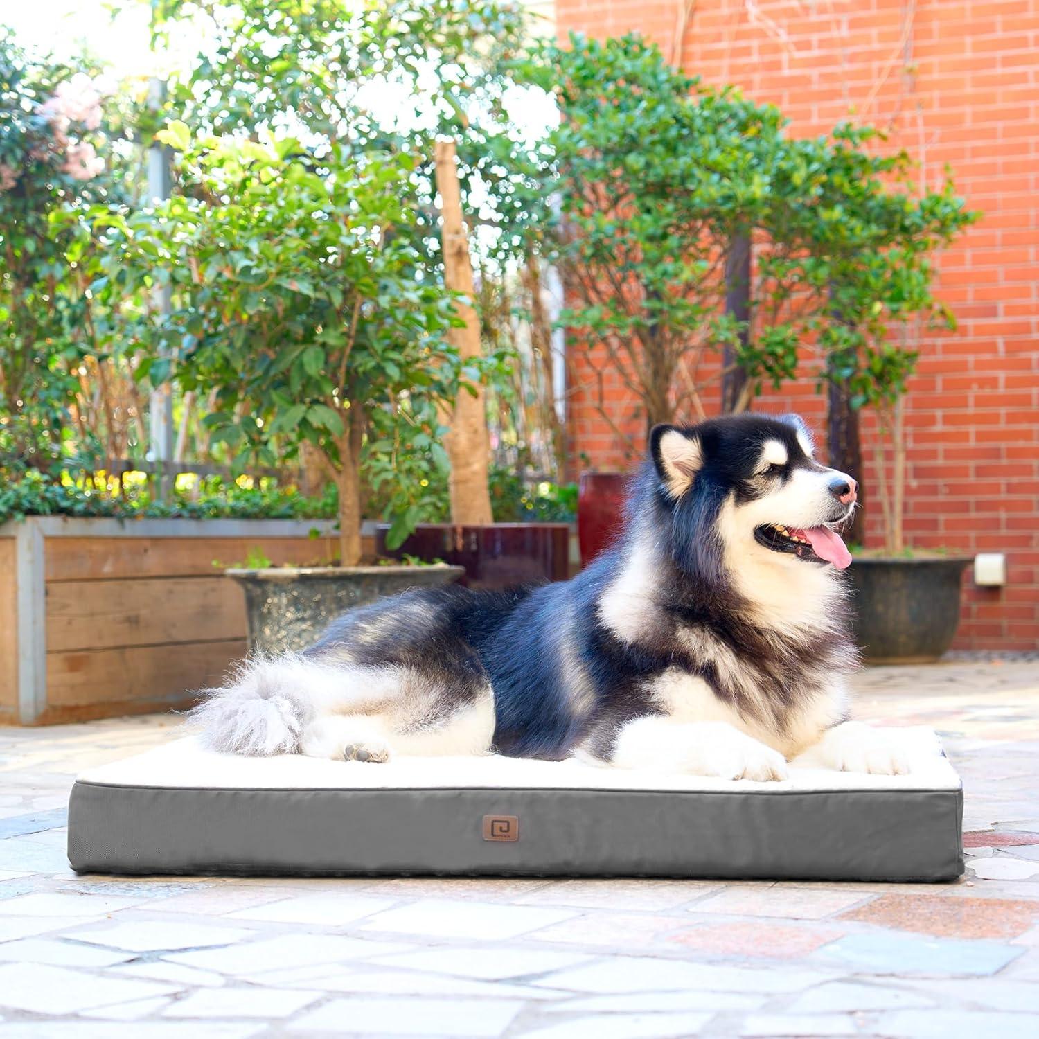 EHEYCIGA Orthopedic Dog Beds Small, Medium, | ObaPet