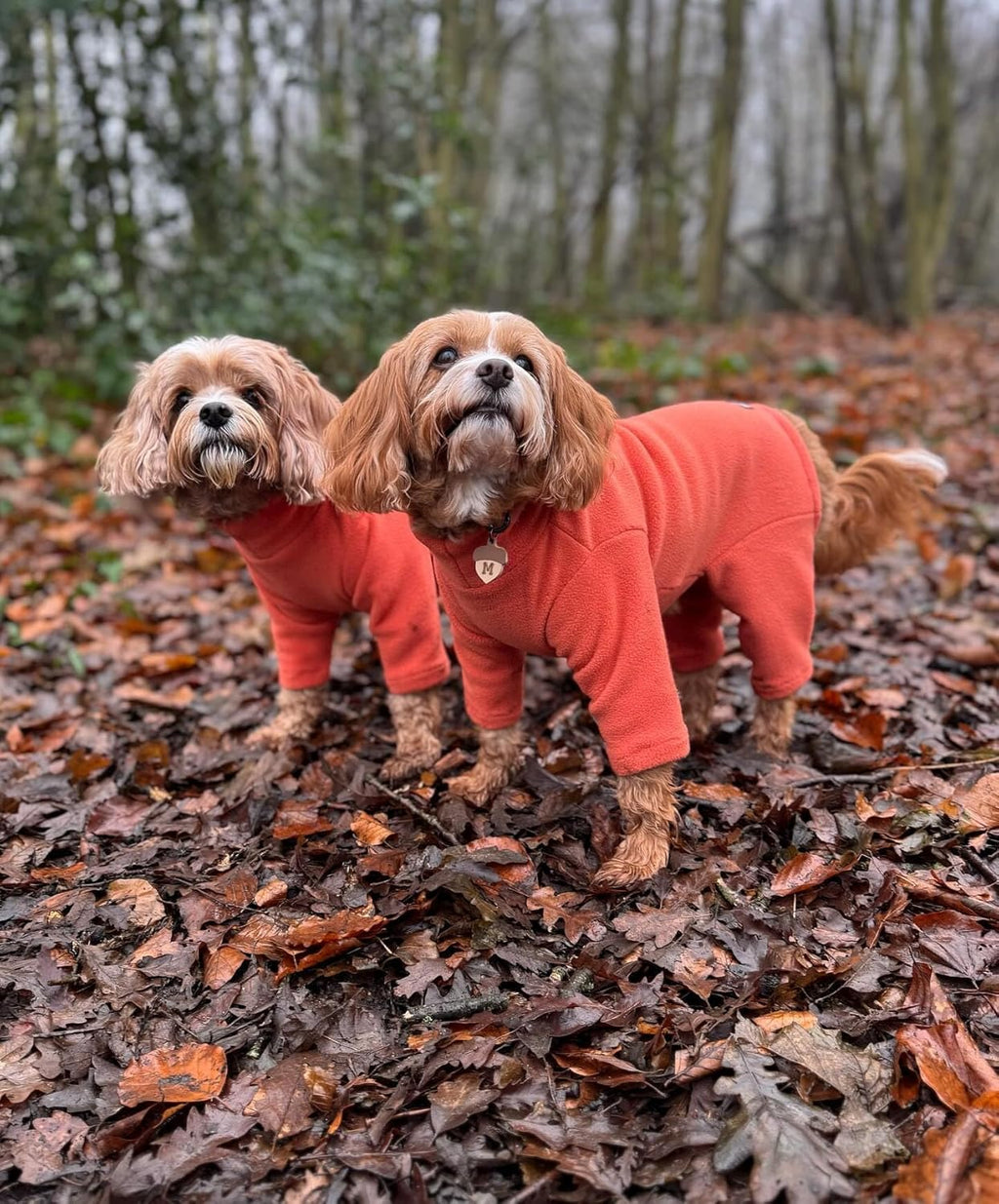 Warm Four-Legged Dog Fleece – Super Soft, Weather-Resistant (Coral, Medium)