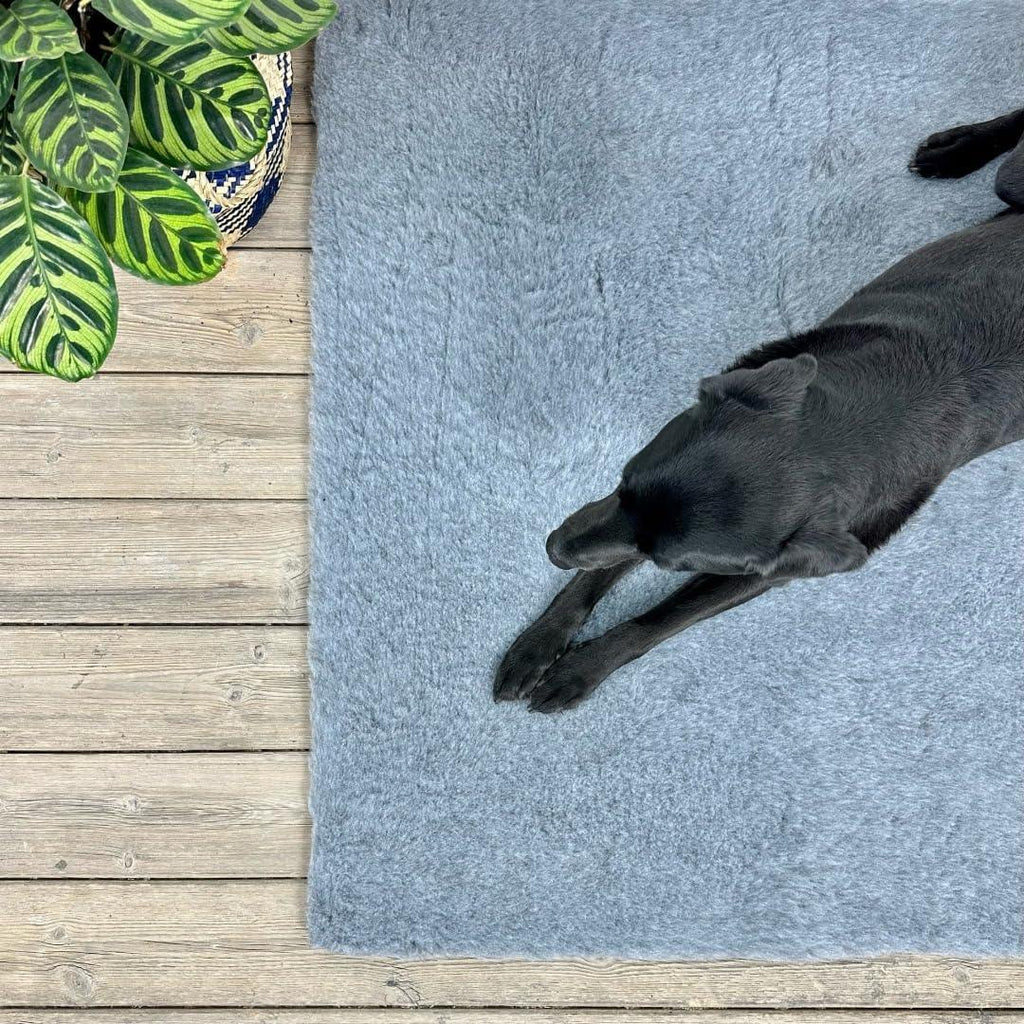 SOUL DESTINY Traditional Grey High-Grade Vet | ObaPet