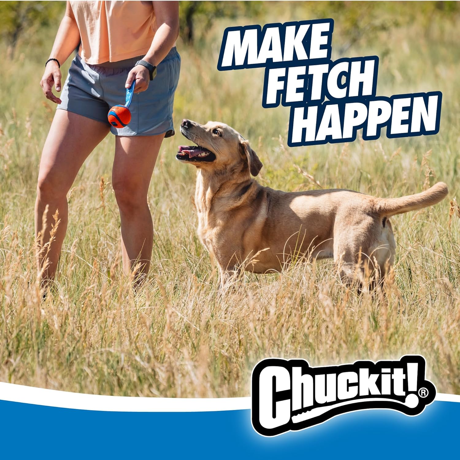 Chuckit! Ultra Tug Dog Toy With Rubber Ball Tug Of War Interactive Fetch Toy for Dogs, Medium