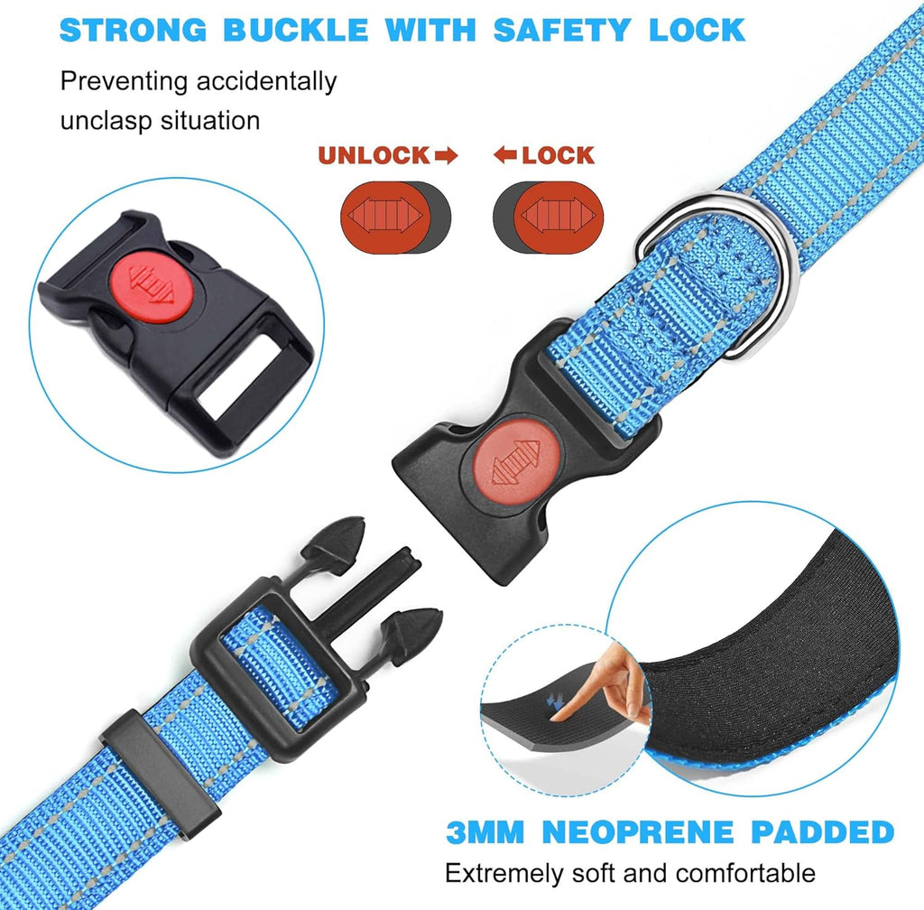 haapaw Reflective Dog Collar Padded with Soft | ObaPet
