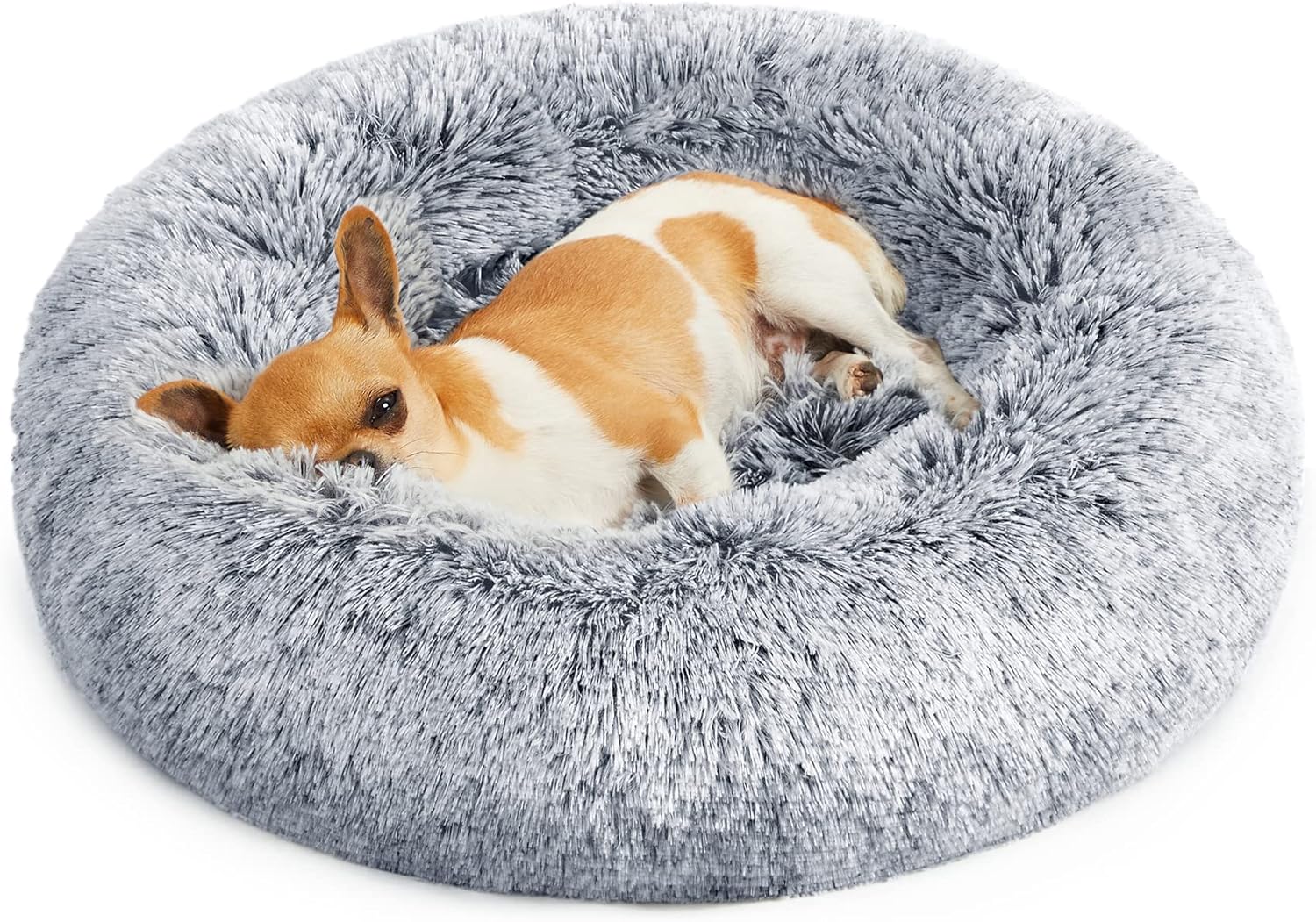 Feandrea Dog Bed, Donut Cat Bed, Fluffy Calming | ObaPet