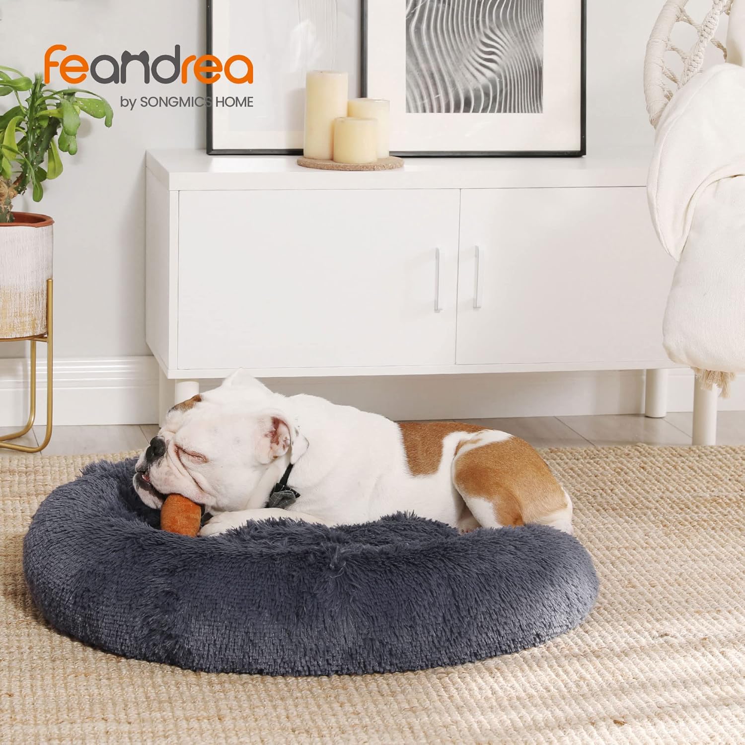 Feandrea Dog Bed, Donut Cat Bed, Fluffy Calming | ObaPet