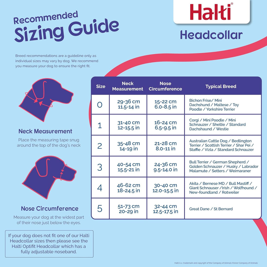 HALTI Headcollar, UK Bestselling Harness to Stop | ObaPet